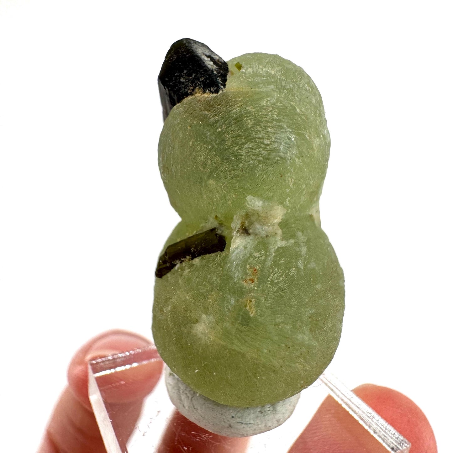 Prehnite with Epidote | Botryoidal green crystal, mineral specimen from Mali