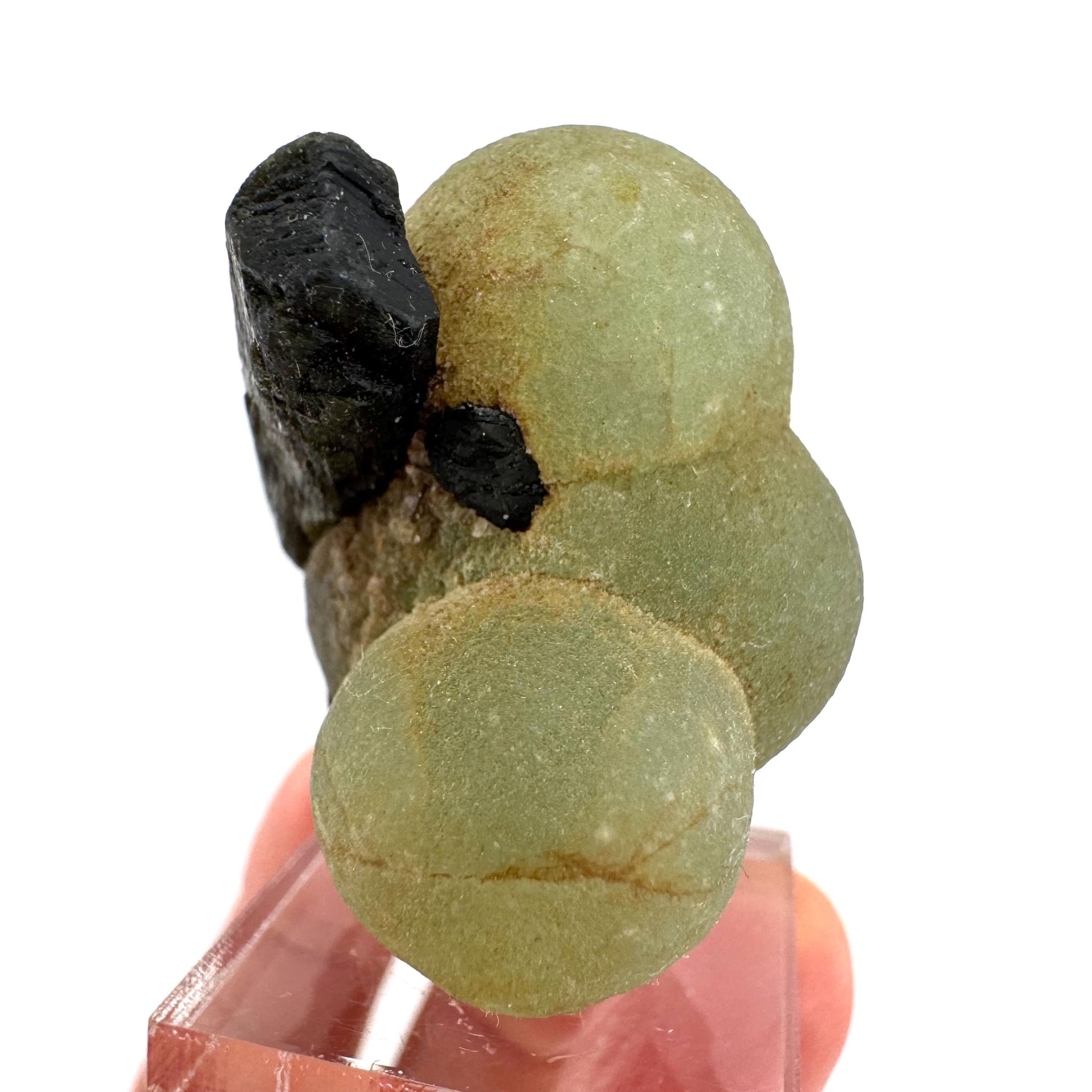 Prehnite with Epidote | Botryoidal green crystal, mineral specimen from Mali