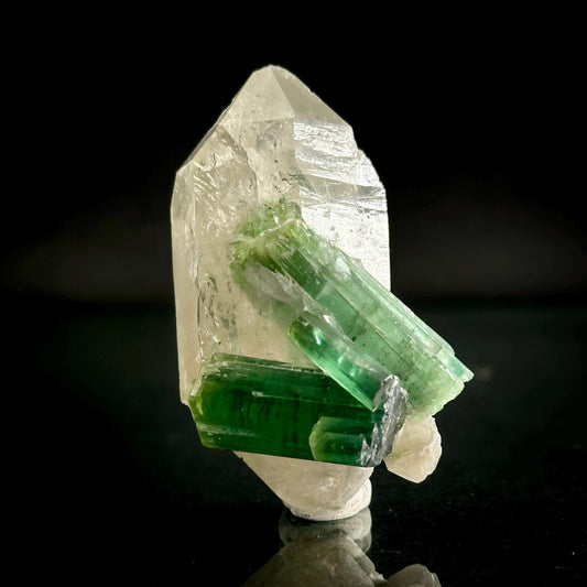 Elbaite Tourmaline on Double Terminated Quartz | Natural Green Crystal, Mineral Specimen from Pakistan