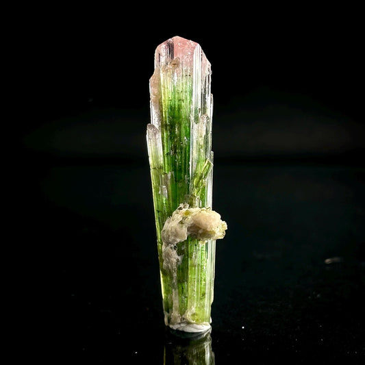 Watermelon Tourmaline | Green & Pink Bi-Color Elbaite Crystal, mineral specimen from Paprok