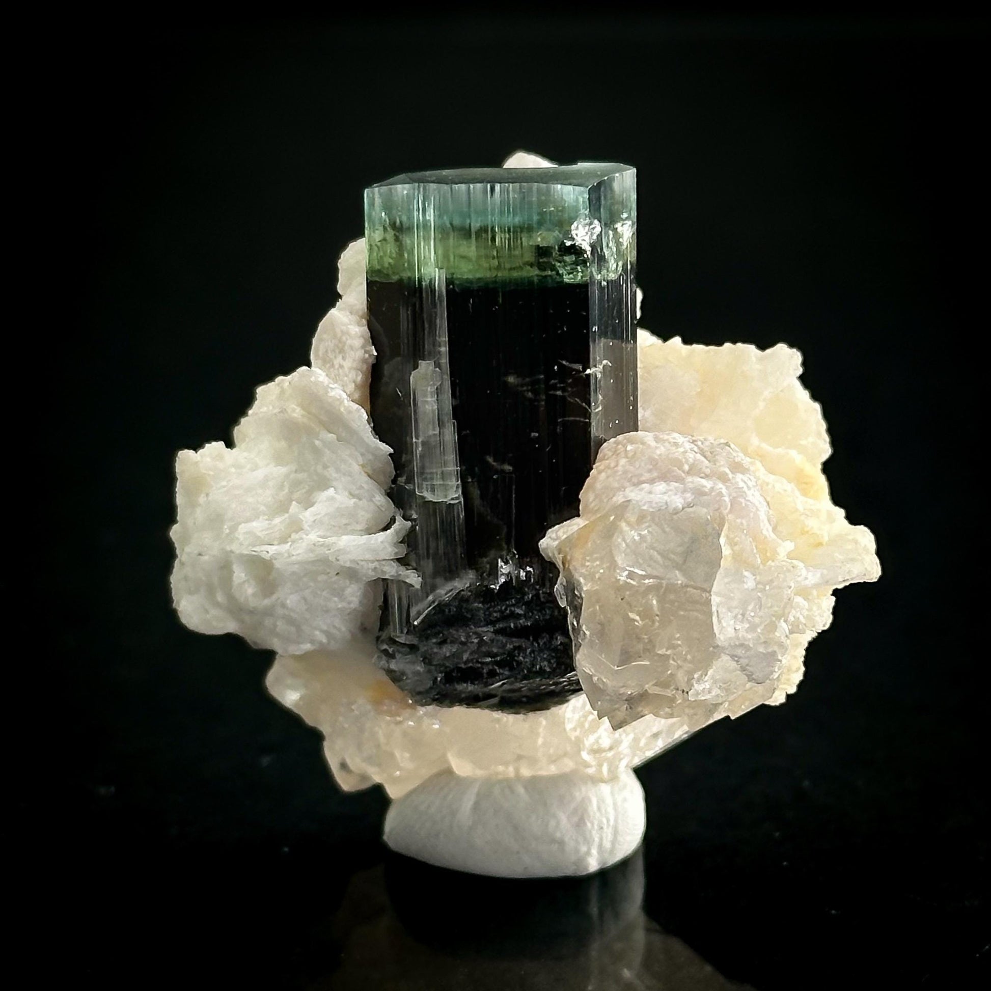 Blue-Green Cap Tourmaline with Albite & Quartz | Bi-Color Elbaite Crystal, Mineral Specimen from Pakistan