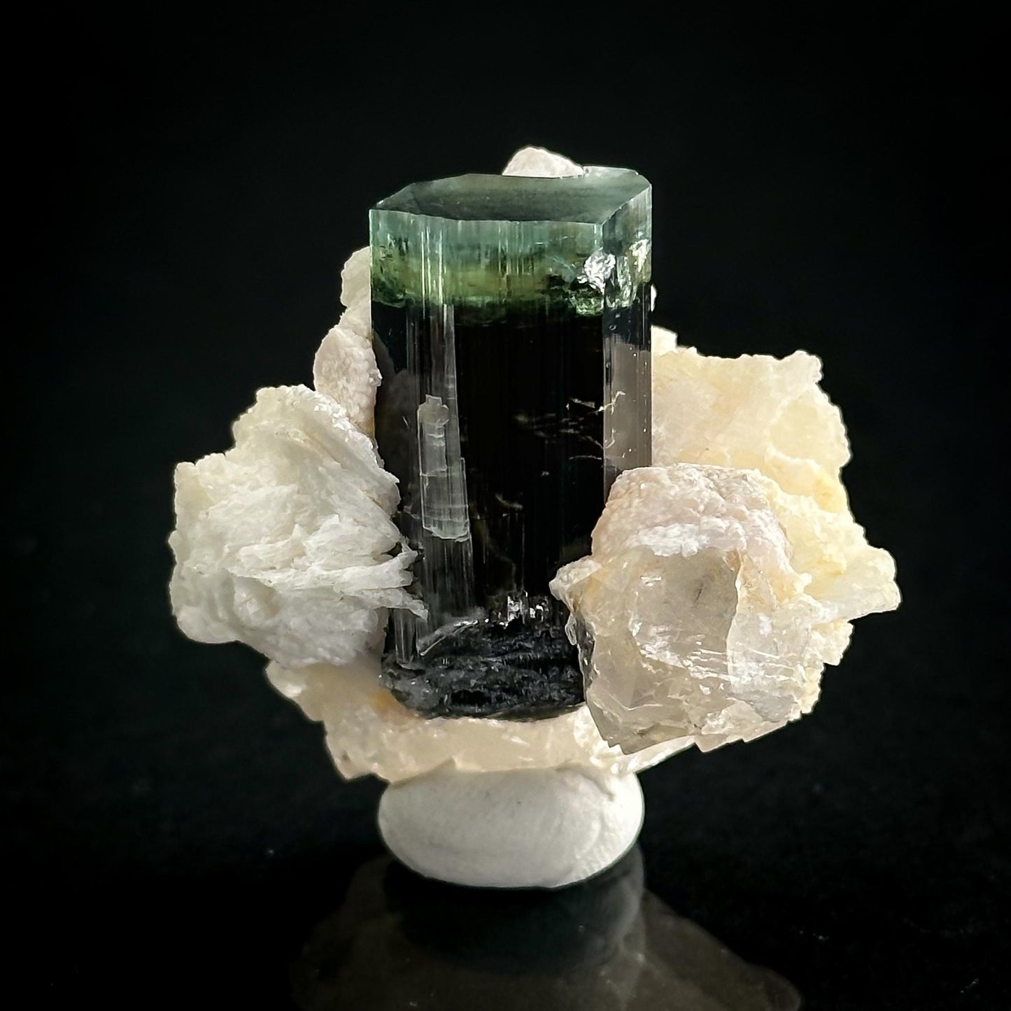 Blue-Green Cap Tourmaline with Albite & Quartz | Bi-Color Elbaite Crystal, Mineral Specimen from Pakistan