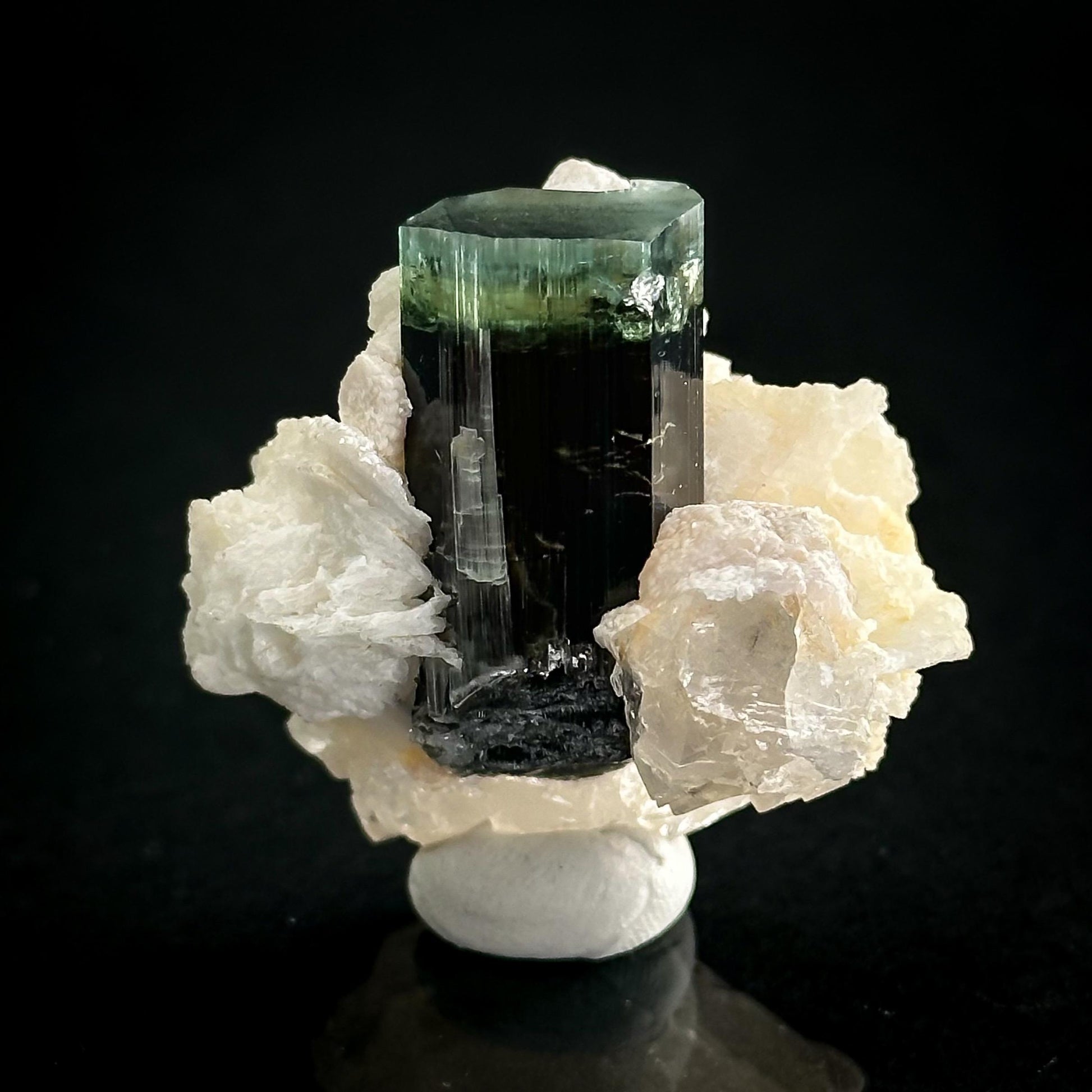 Blue-Green Cap Tourmaline with Albite & Quartz | Bi-Color Elbaite Crystal, Mineral Specimen from Pakistan