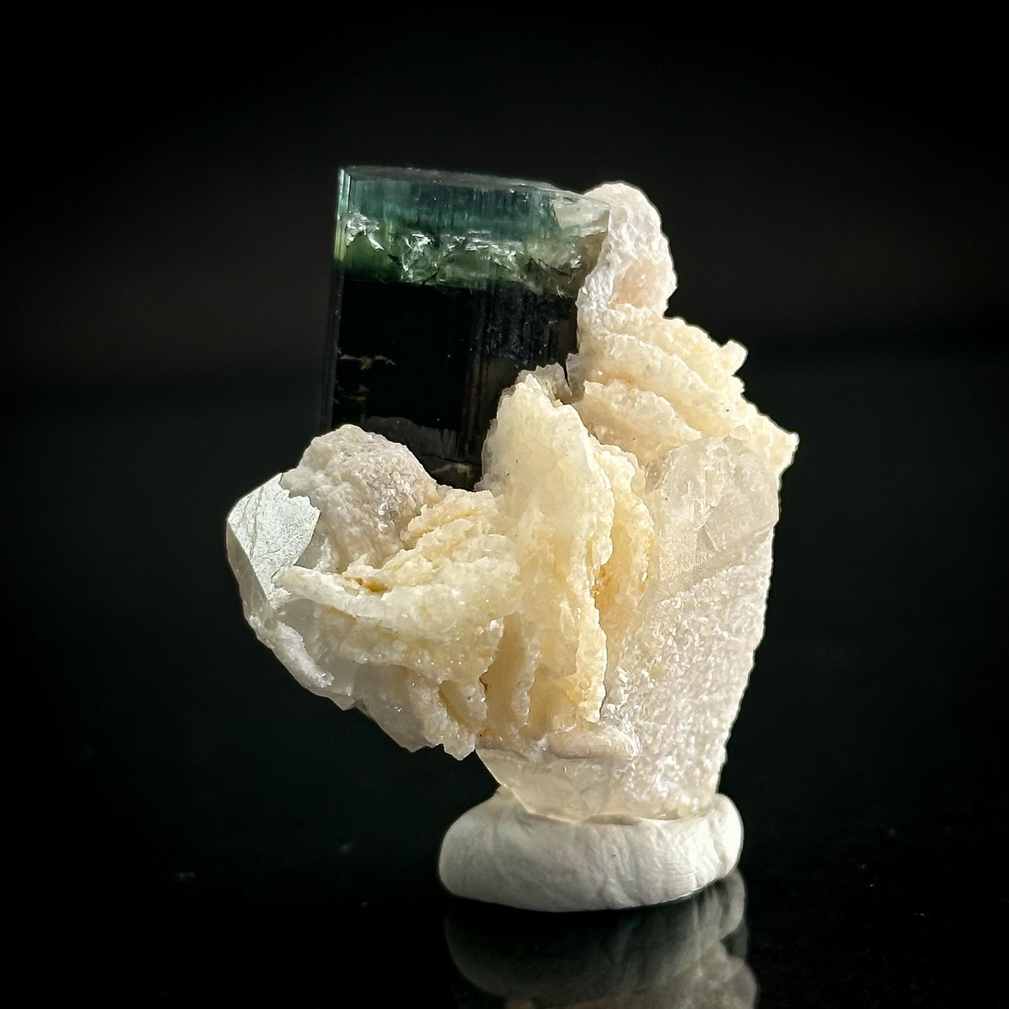Blue-Green Cap Tourmaline with Albite & Quartz | Bi-Color Elbaite Crystal, Mineral Specimen from Pakistan
