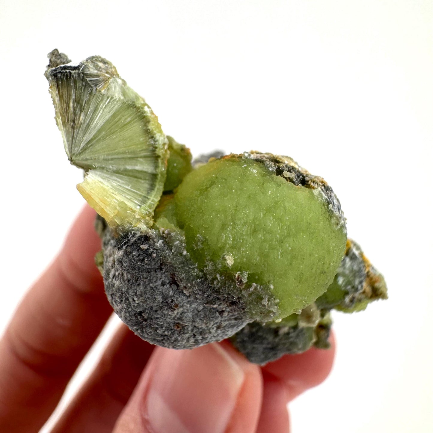 Wavellite (Arkansas, USA) | green crystal cluster, mineral specimen
