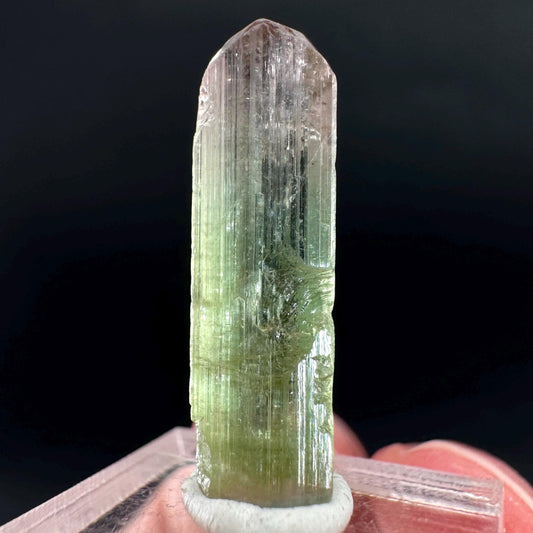 Watermelon Tourmaline | Green & Pink Bi-Color Elbaite Crystal, mineral specimen from Paprok