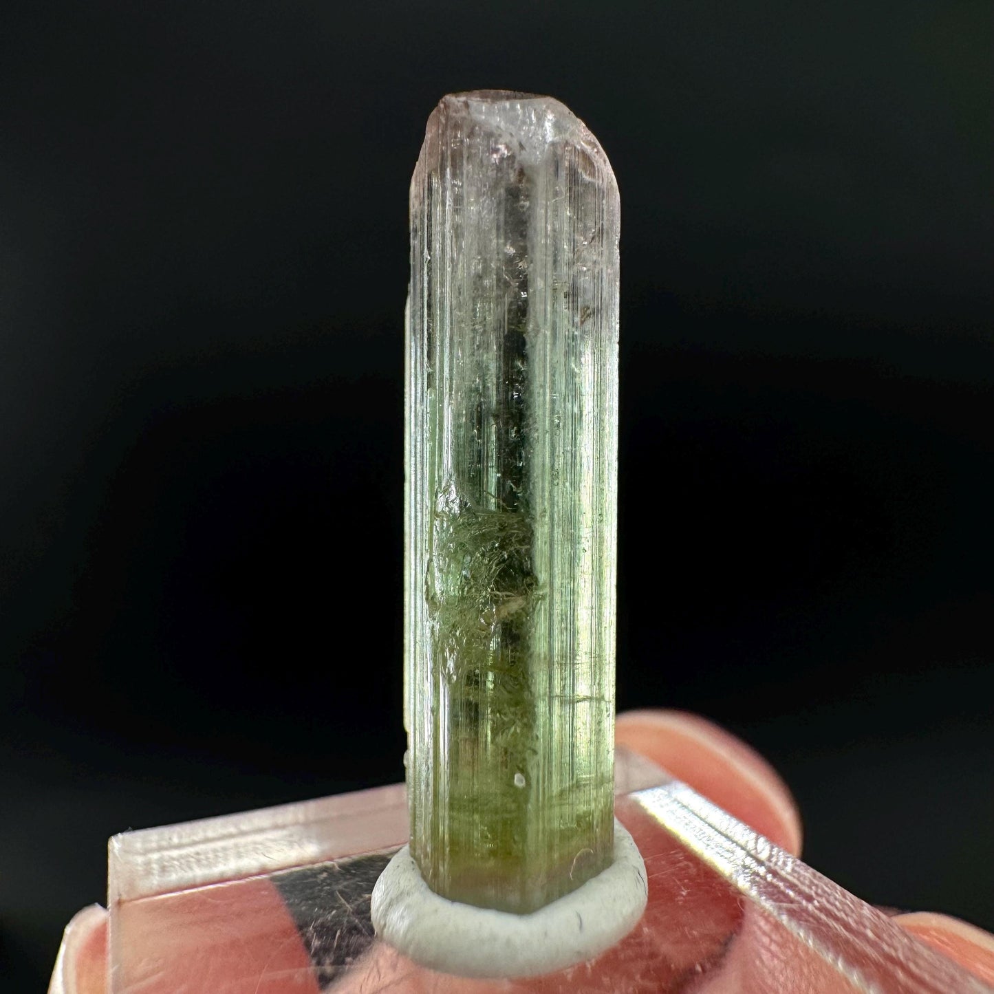 Watermelon Tourmaline | Green & Pink Bi-Color Elbaite Crystal, mineral specimen from Paprok