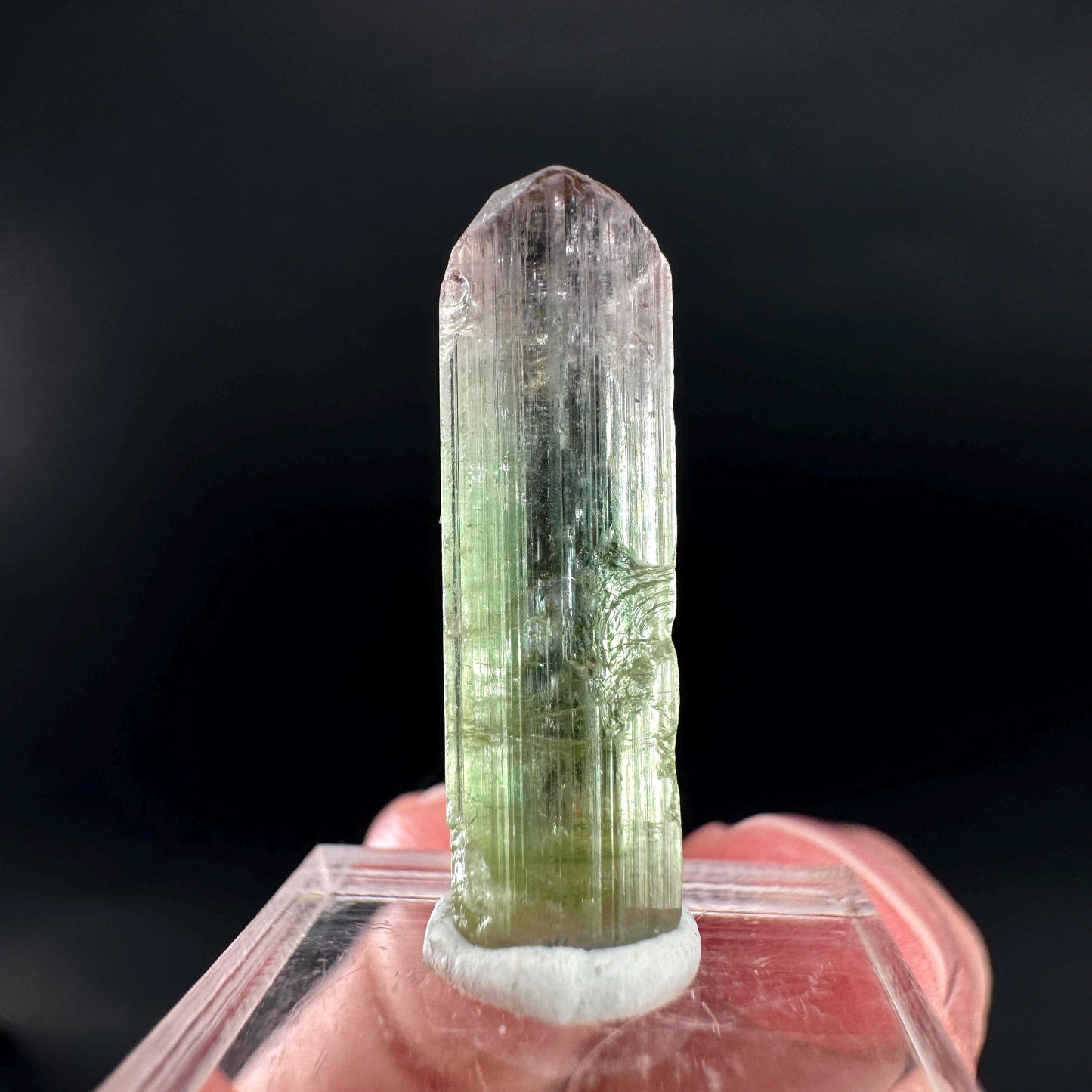 Watermelon Tourmaline | Green & Pink Bi-Color Elbaite Crystal, mineral specimen from Paprok