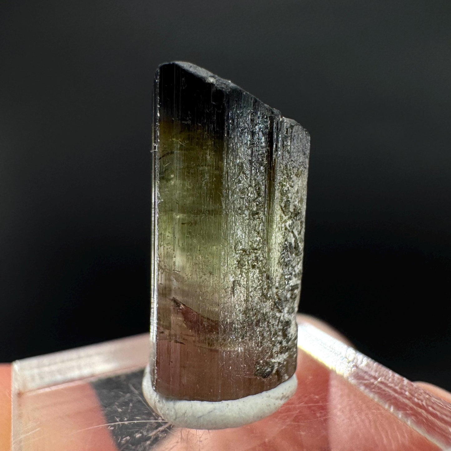 Elbaite Tourmaline | Green & Pink Bi-Color Crystal, mineral specimen from Paprok