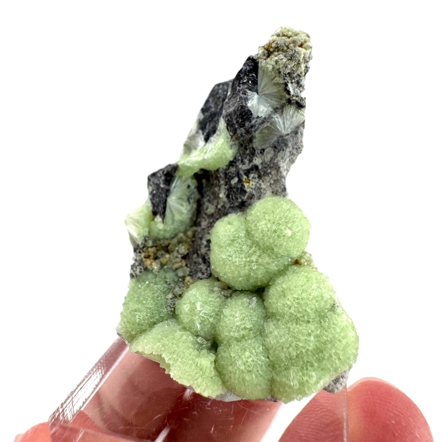 Wavellite (Arkansas, USA) | green crystal cluster, mineral specimen