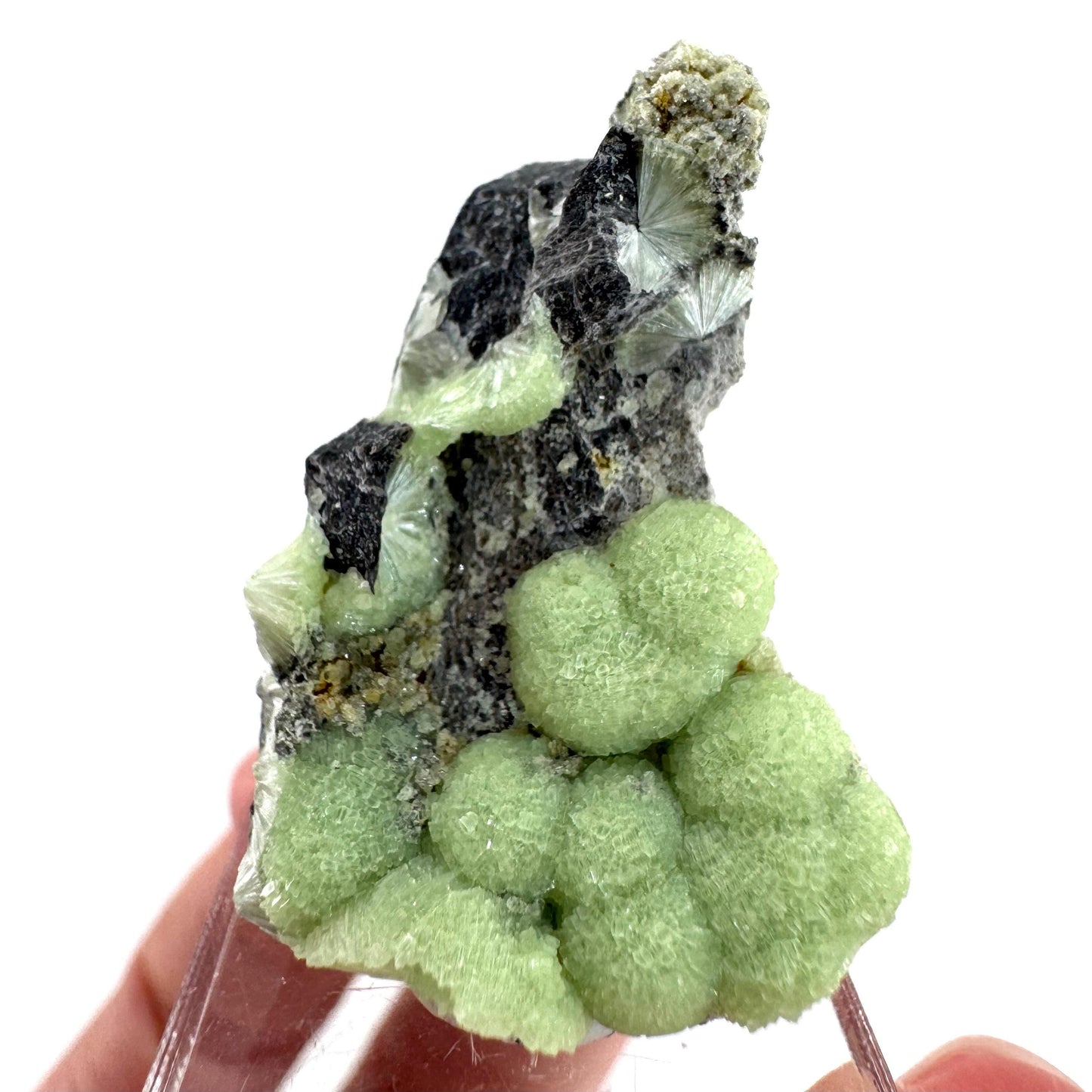 Wavellite (Arkansas, USA) | green crystal cluster, mineral specimen