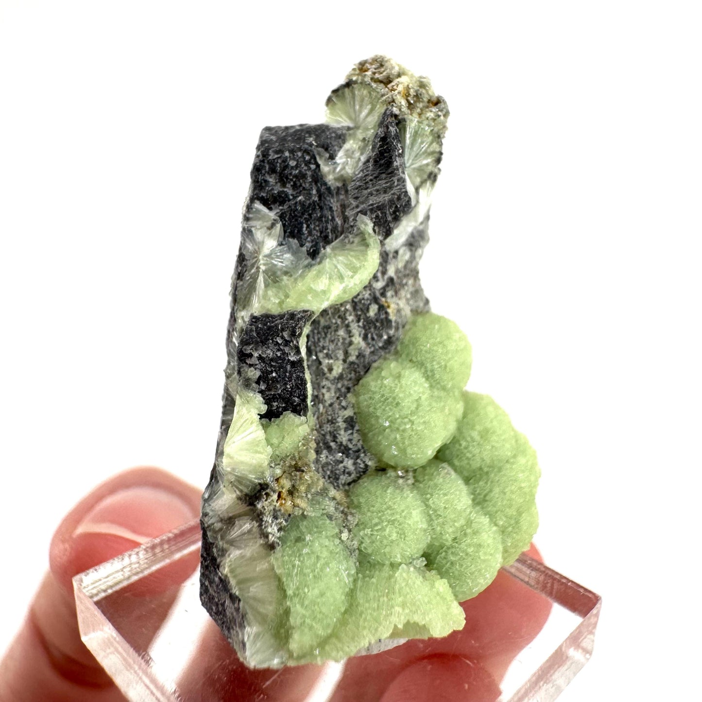 Wavellite (Arkansas, USA) | green crystal cluster, mineral specimen