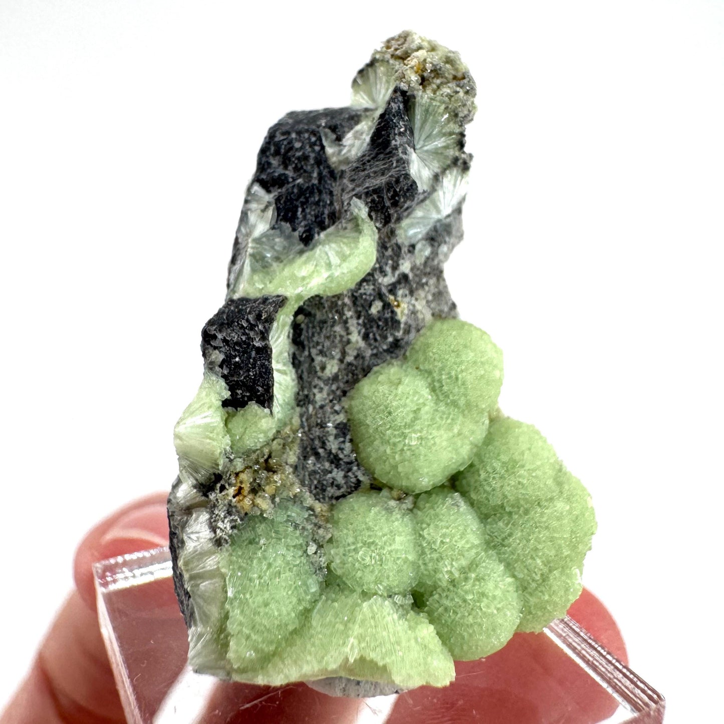 Wavellite (Arkansas, USA) | green crystal cluster, mineral specimen