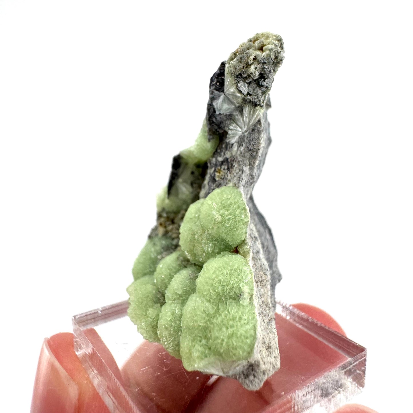 Wavellite (Arkansas, USA) | green crystal cluster, mineral specimen