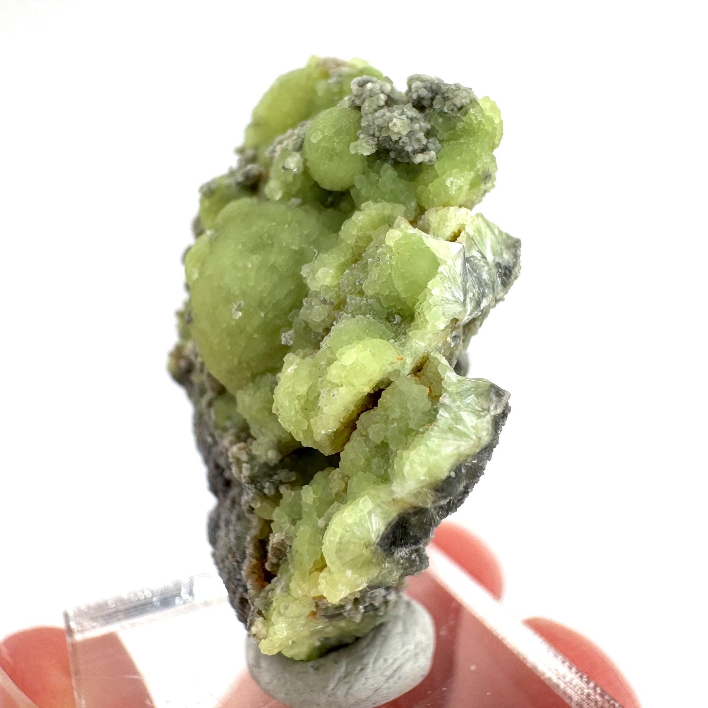 Wavellite (Arkansas, USA) | green crystal cluster, mineral specimen