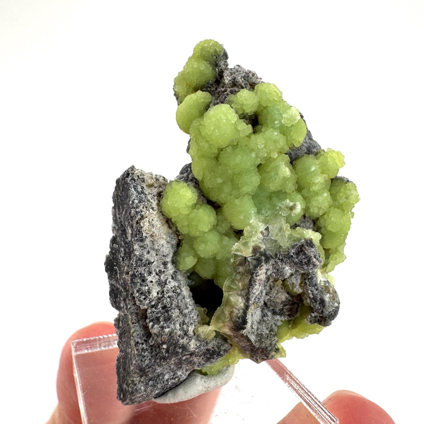 Wavellite (Arkansas, USA) | green crystal cluster, mineral specimen