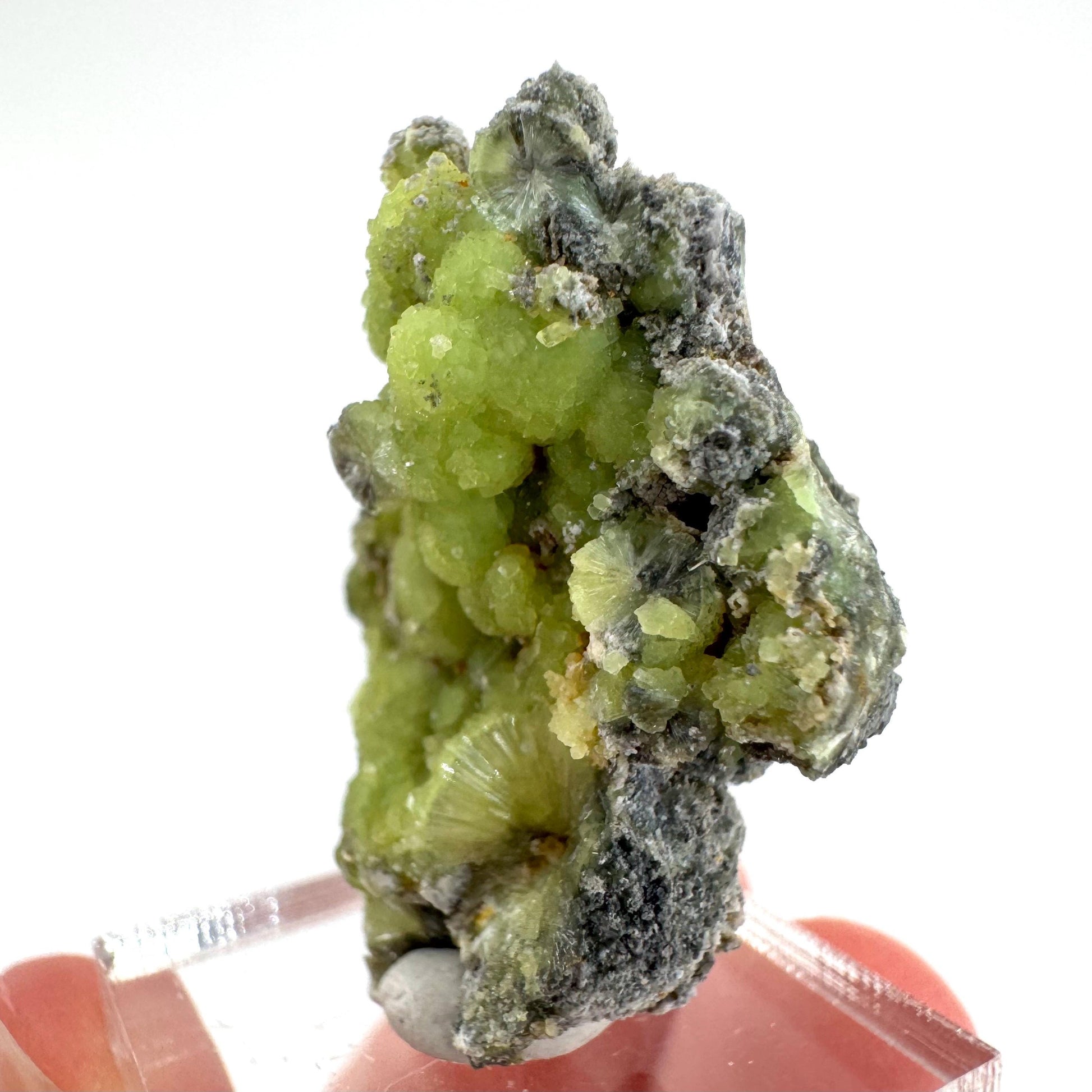 Wavellite (Arkansas, USA) | green crystal cluster, mineral specimen