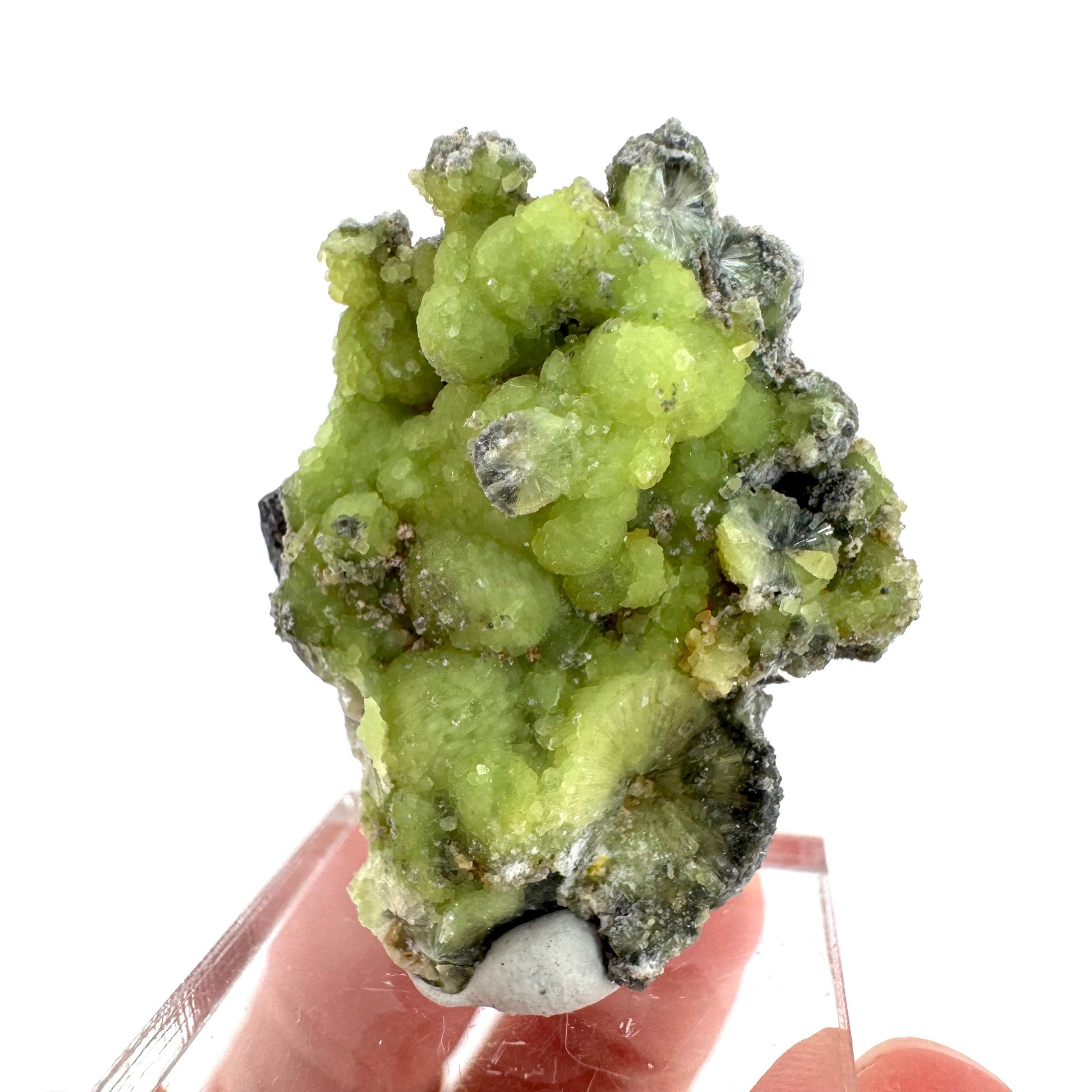 Wavellite (Arkansas, USA) | green crystal cluster, mineral specimen