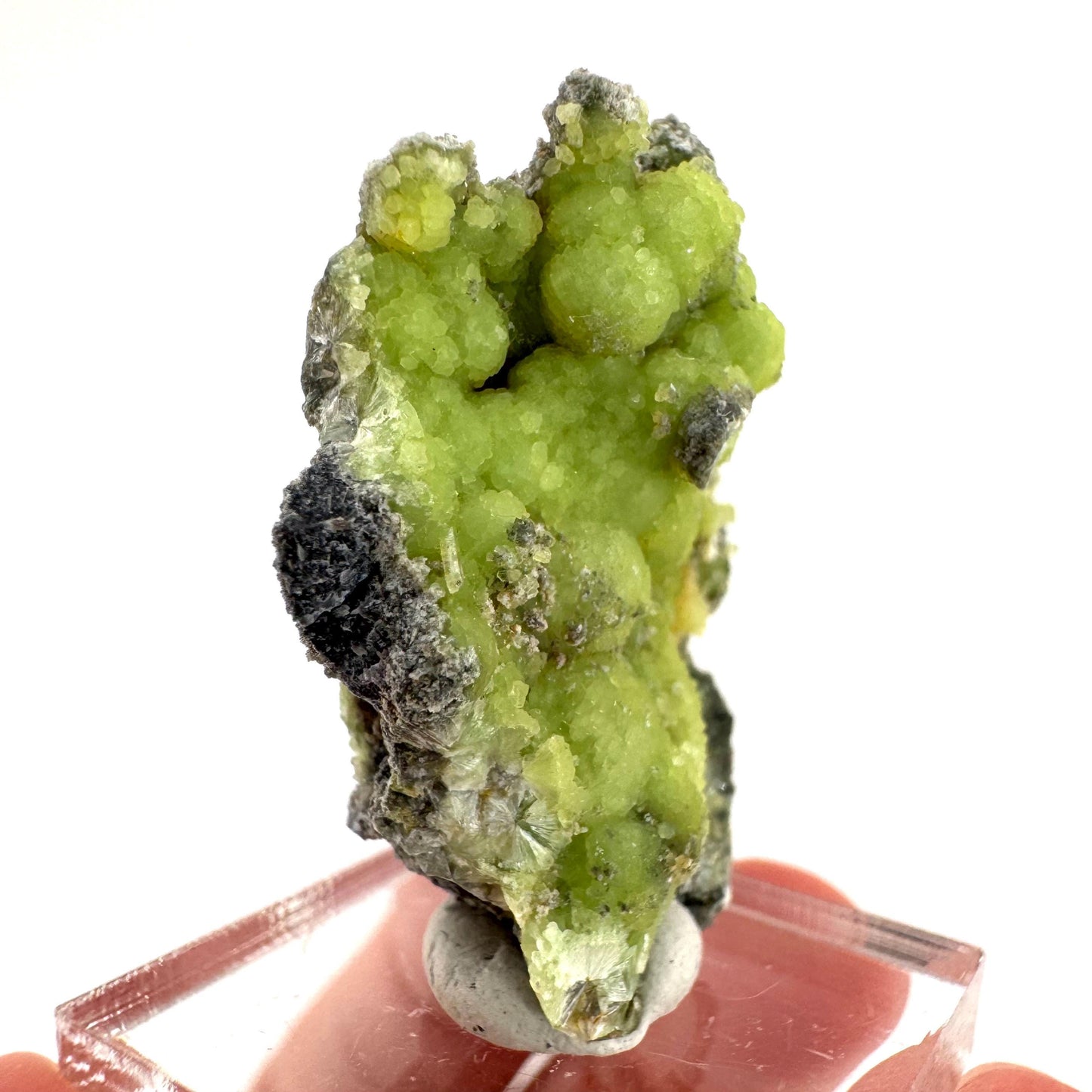 Wavellite (Arkansas, USA) | green crystal cluster, mineral specimen