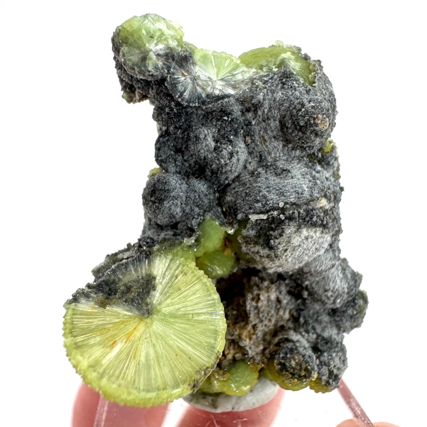 Wavellite (Arkansas, USA) | green crystal cluster, mineral specimen