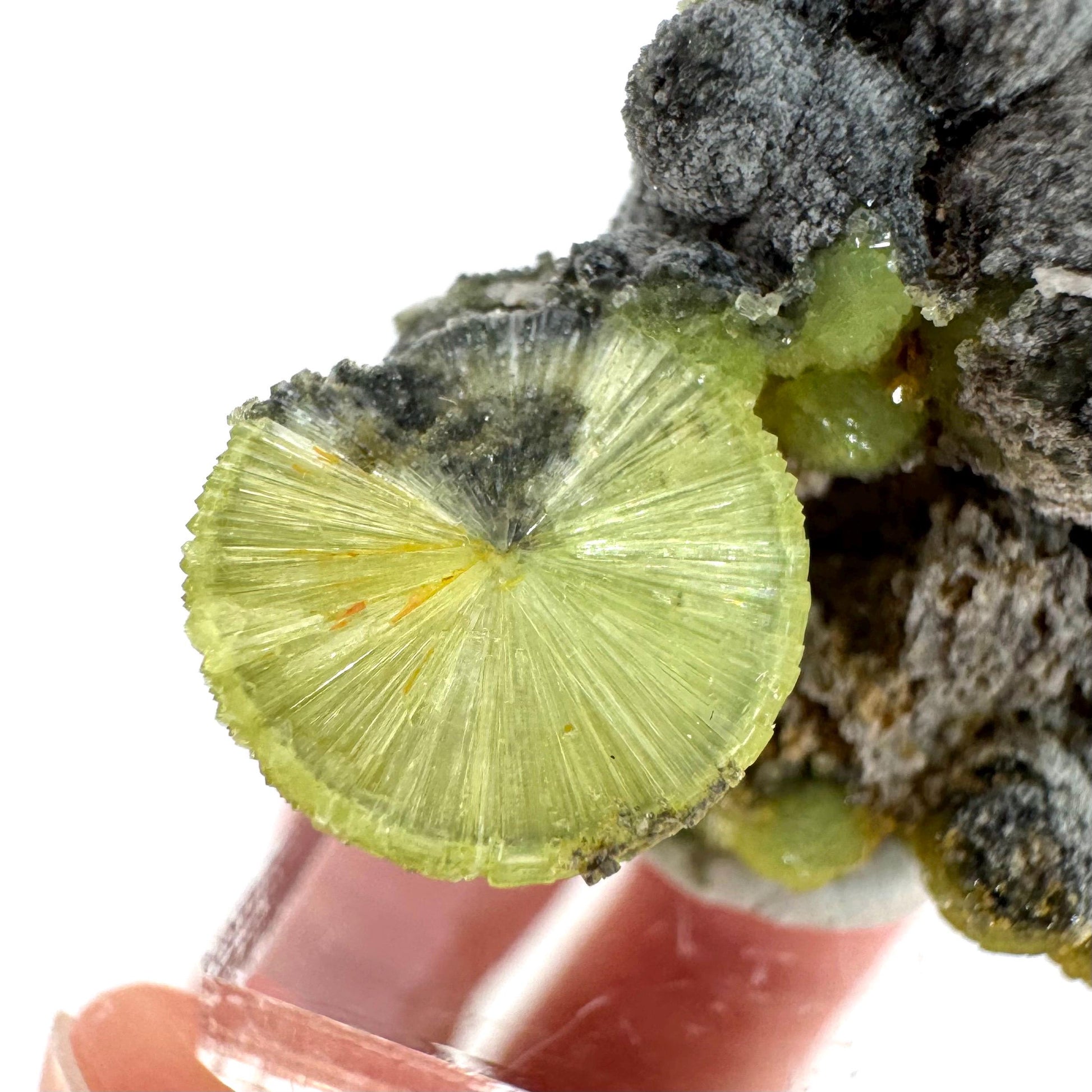 Wavellite (Arkansas, USA) | green crystal cluster, mineral specimen