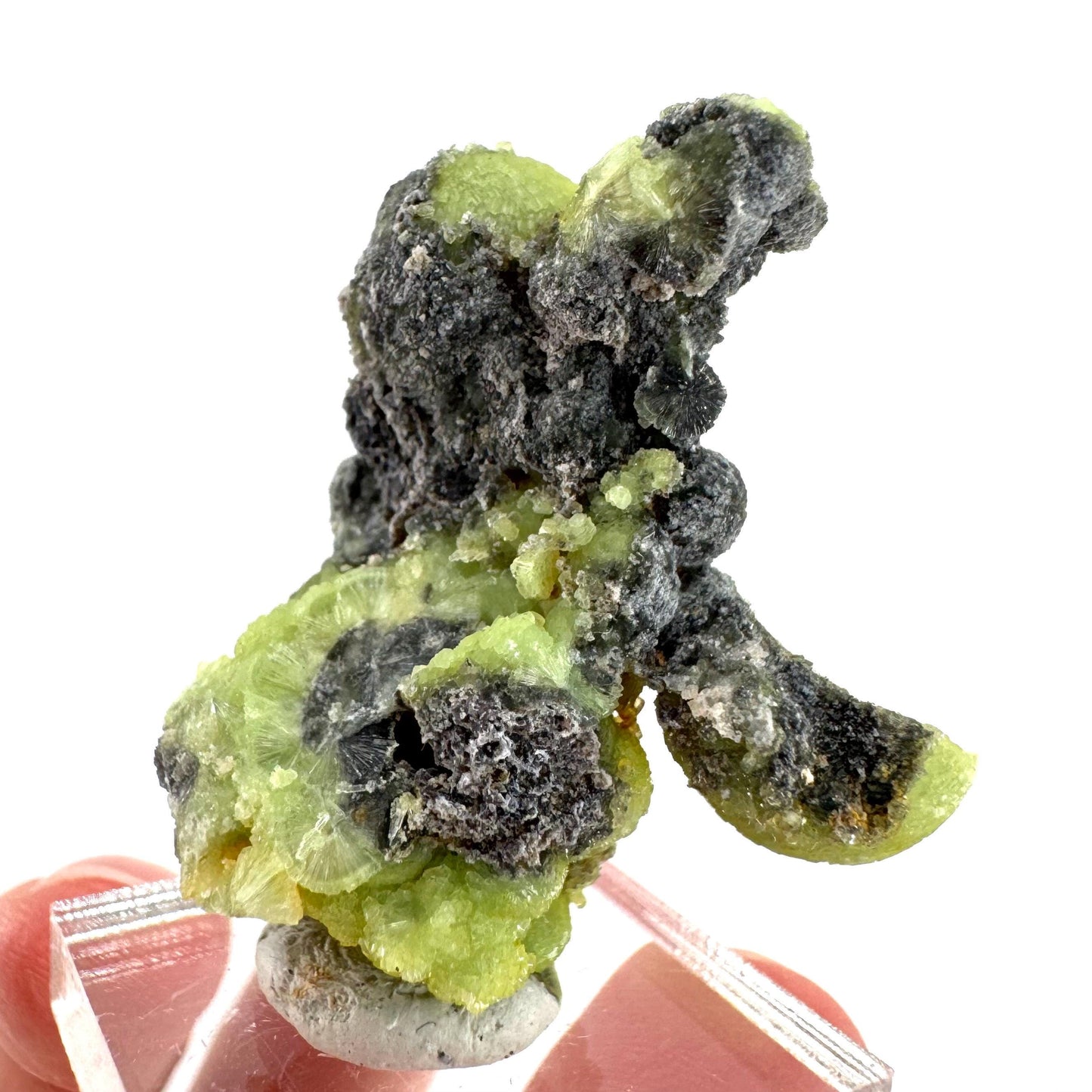 Wavellite (Arkansas, USA) | green crystal cluster, mineral specimen