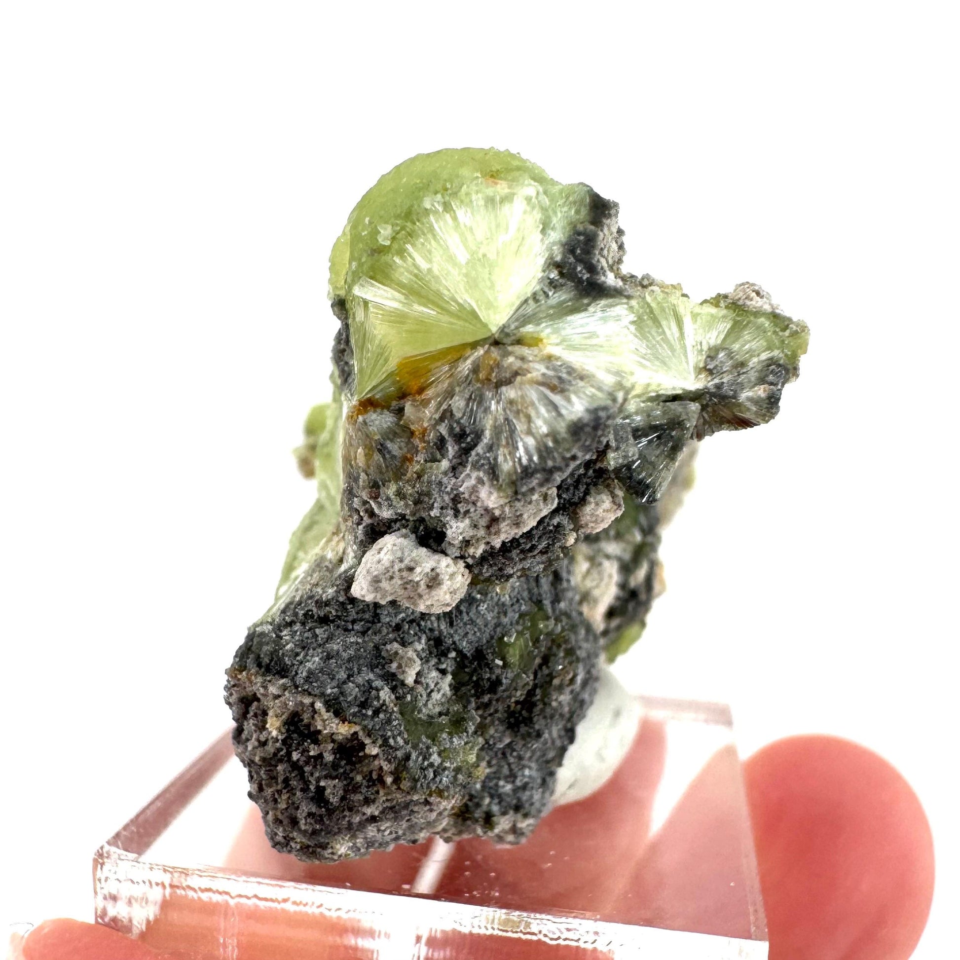 Wavellite (Arkansas, USA) | green crystal cluster, mineral specimen