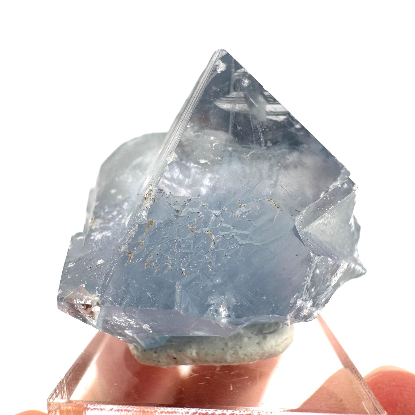 Celestite | natural blue crystal, mineral specimen from Madagascar