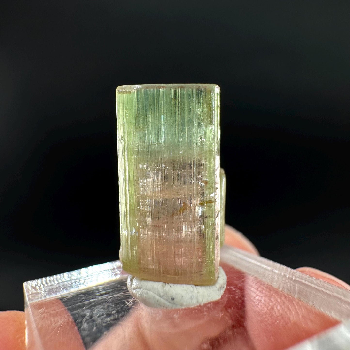 Watermelon Tourmaline | Green & Pink Bi-Color Elbaite Crystal, mineral specimen from Paprok