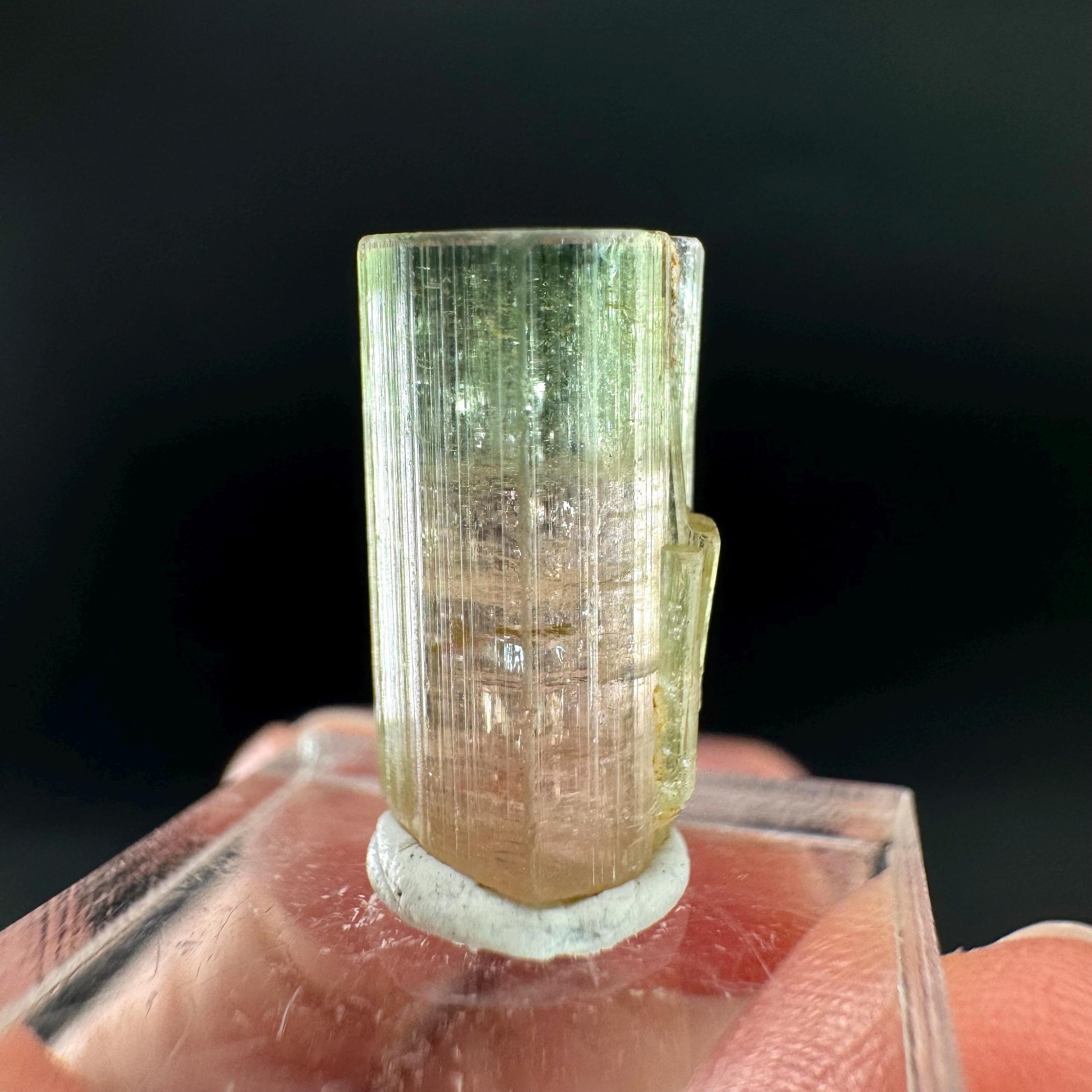 Watermelon Tourmaline | Green & Pink Bi-Color Elbaite Crystal, mineral specimen from Paprok