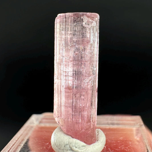 Elbaite Tourmaline | Pink Crystal, mineral specimen from Paprok