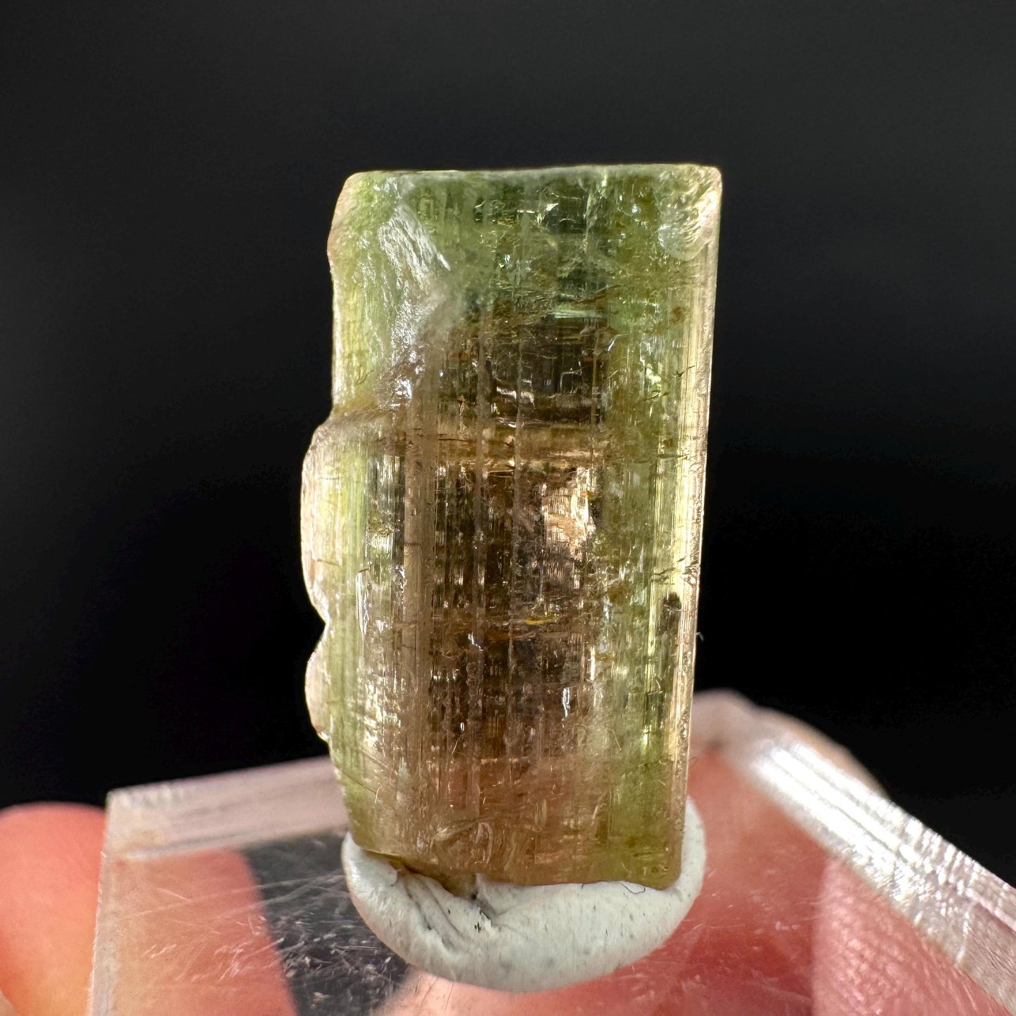 Watermelon Tourmaline | Green & Pink Bi-Color Elbaite Crystal, mineral specimen from Paprok