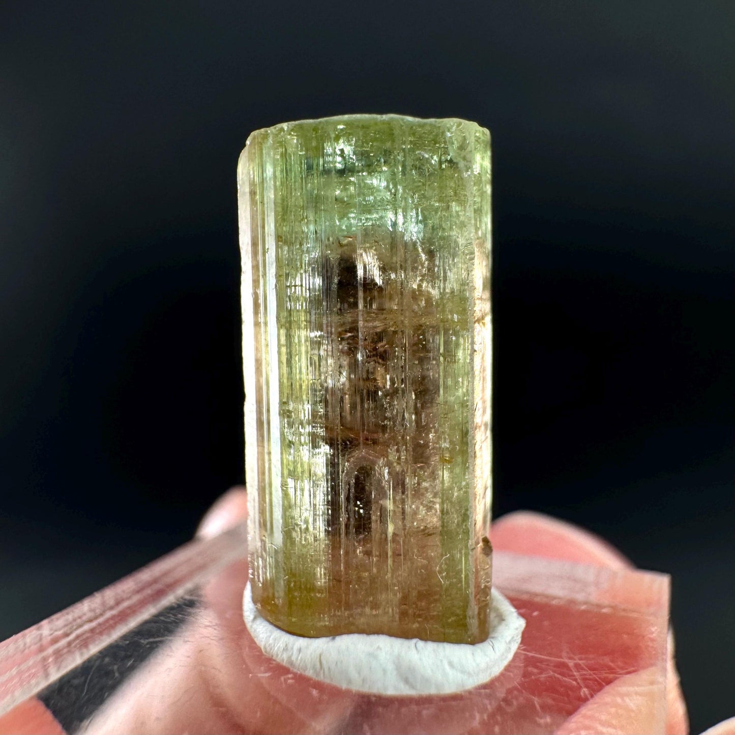 Watermelon Tourmaline | Green & Pink Bi-Color Elbaite Crystal, mineral specimen from Paprok