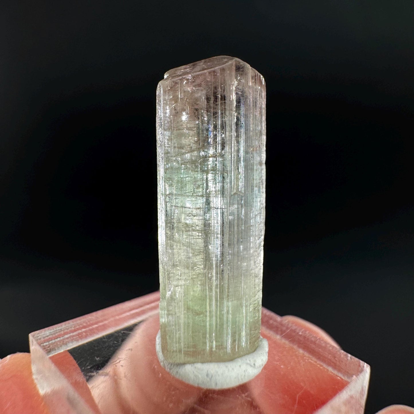 Watermelon Tourmaline | Green & Pink Bi-Color Elbaite Crystal, mineral specimen from Paprok