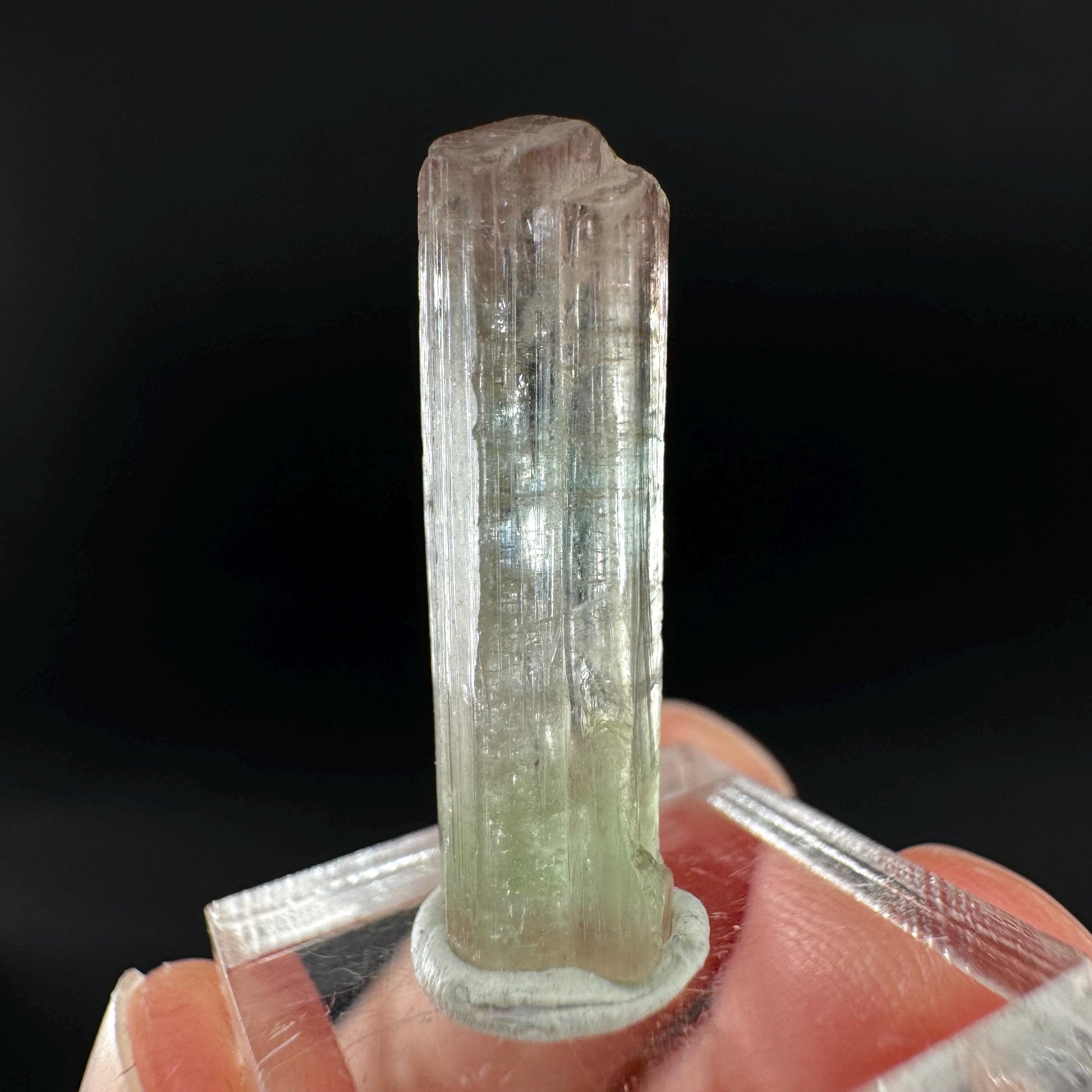 Watermelon Tourmaline | Green & Pink Bi-Color Elbaite Crystal, mineral specimen from Paprok