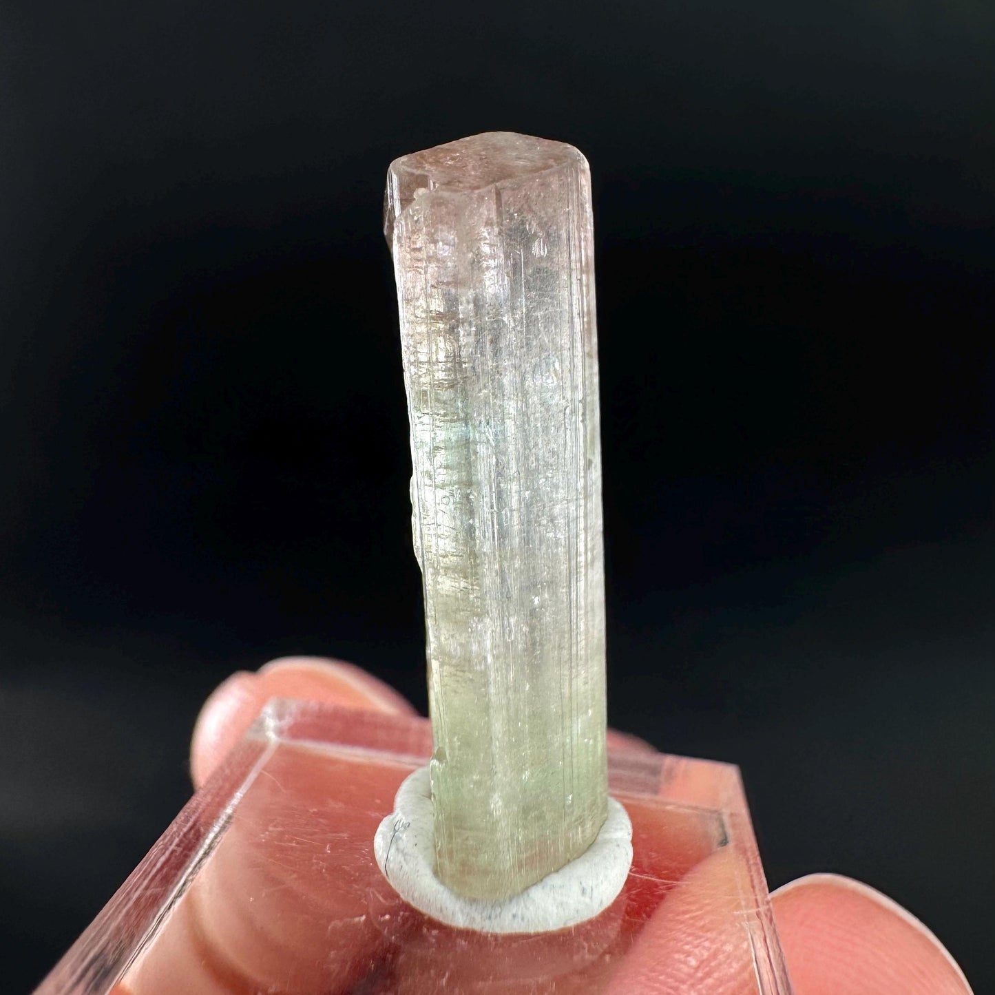 Watermelon Tourmaline | Green & Pink Bi-Color Elbaite Crystal, mineral specimen from Paprok