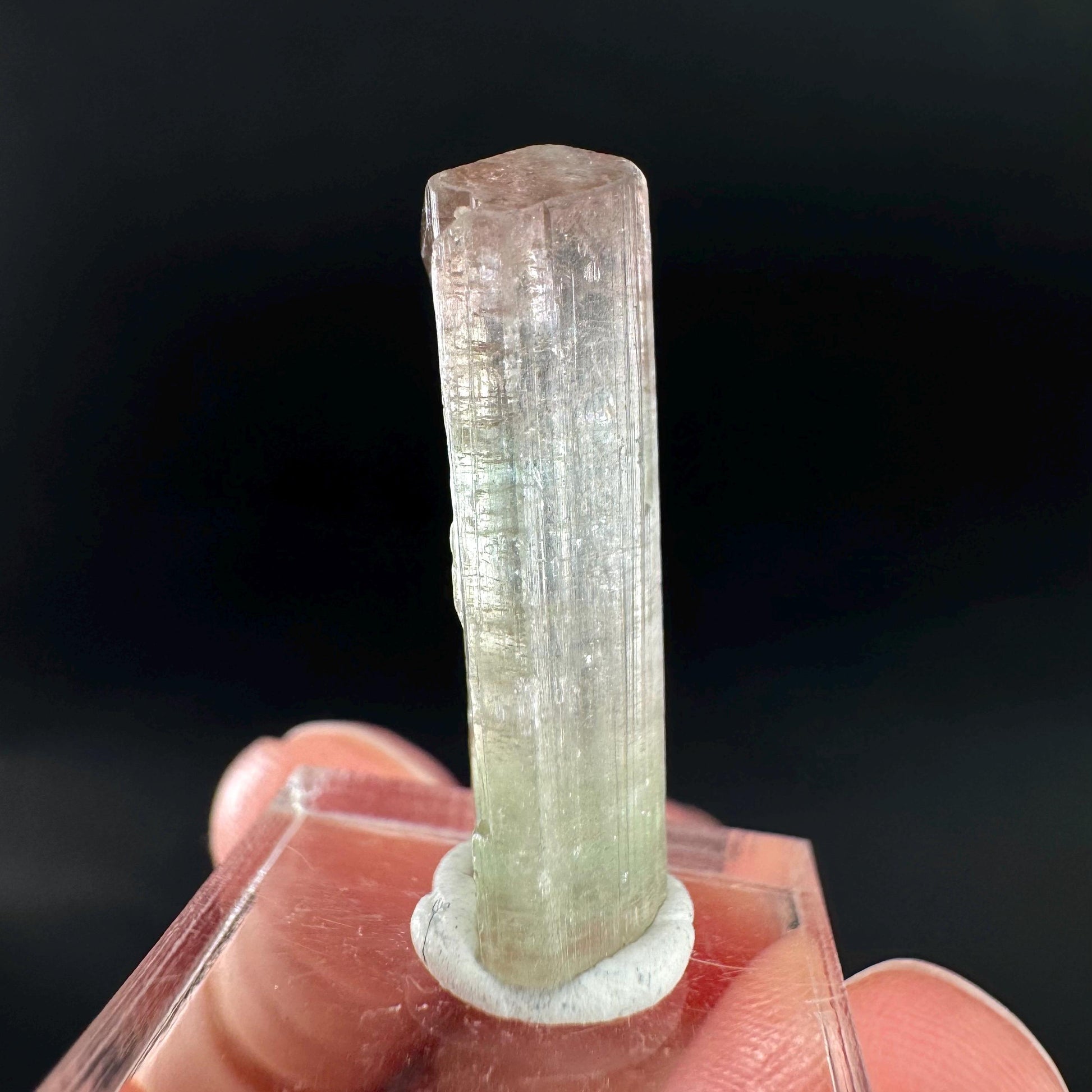 Watermelon Tourmaline | Green & Pink Bi-Color Elbaite Crystal, mineral specimen from Paprok
