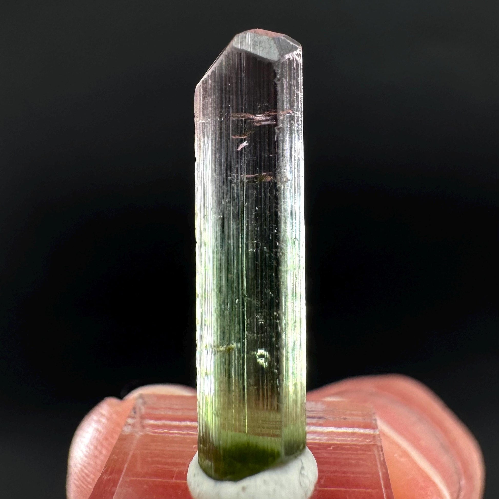 Watermelon Tourmaline | Green & Pink Bi-Color Elbaite Crystal, mineral specimen from Paprok