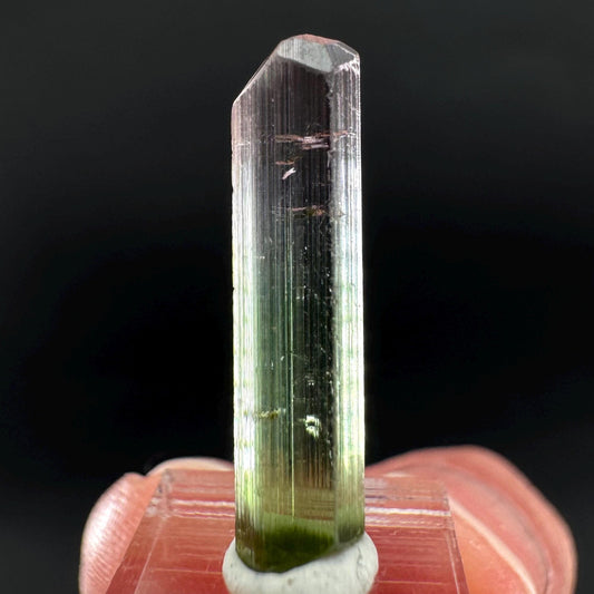 Watermelon Tourmaline | Green & Pink Bi-Color Elbaite Crystal, mineral specimen from Paprok