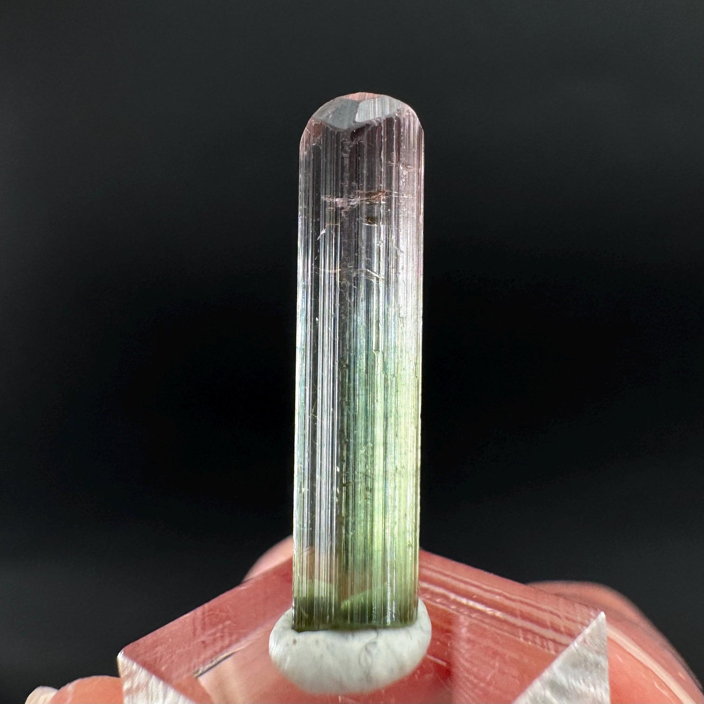 Watermelon Tourmaline | Green & Pink Bi-Color Elbaite Crystal, mineral specimen from Paprok