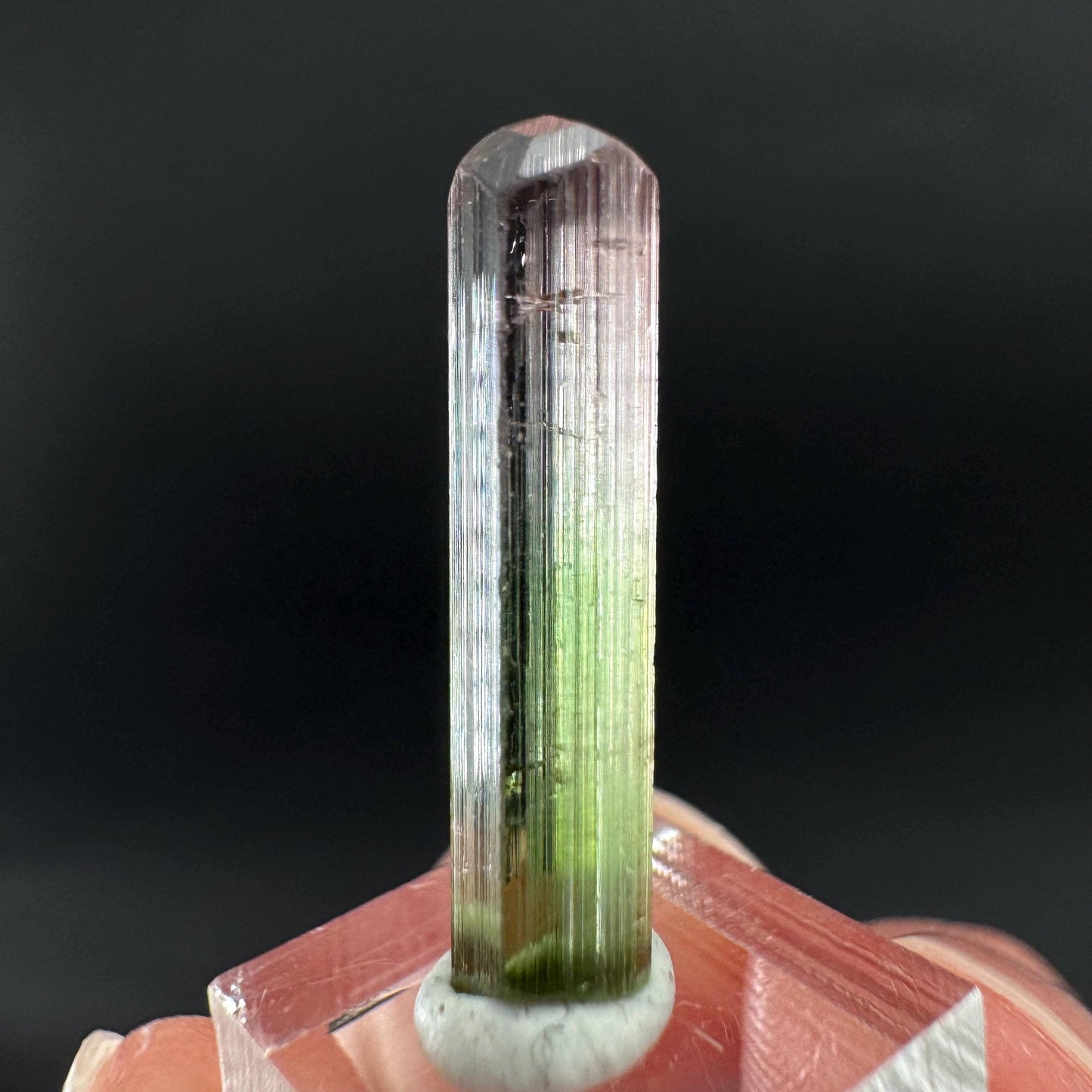 Watermelon Tourmaline | Green & Pink Bi-Color Elbaite Crystal, mineral specimen from Paprok
