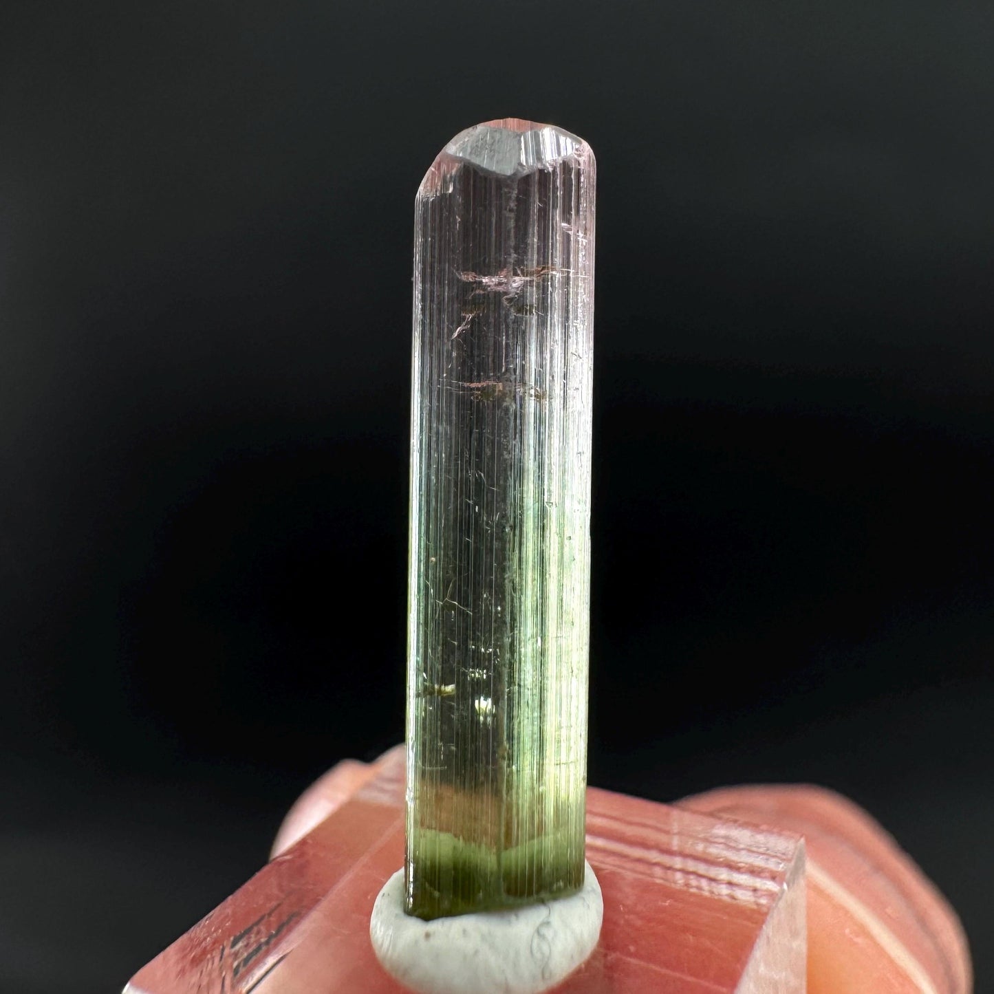 Watermelon Tourmaline | Green & Pink Bi-Color Elbaite Crystal, mineral specimen from Paprok