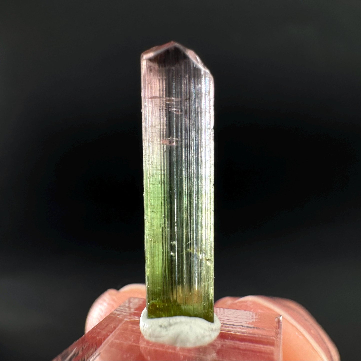 Watermelon Tourmaline | Green & Pink Bi-Color Elbaite Crystal, mineral specimen from Paprok