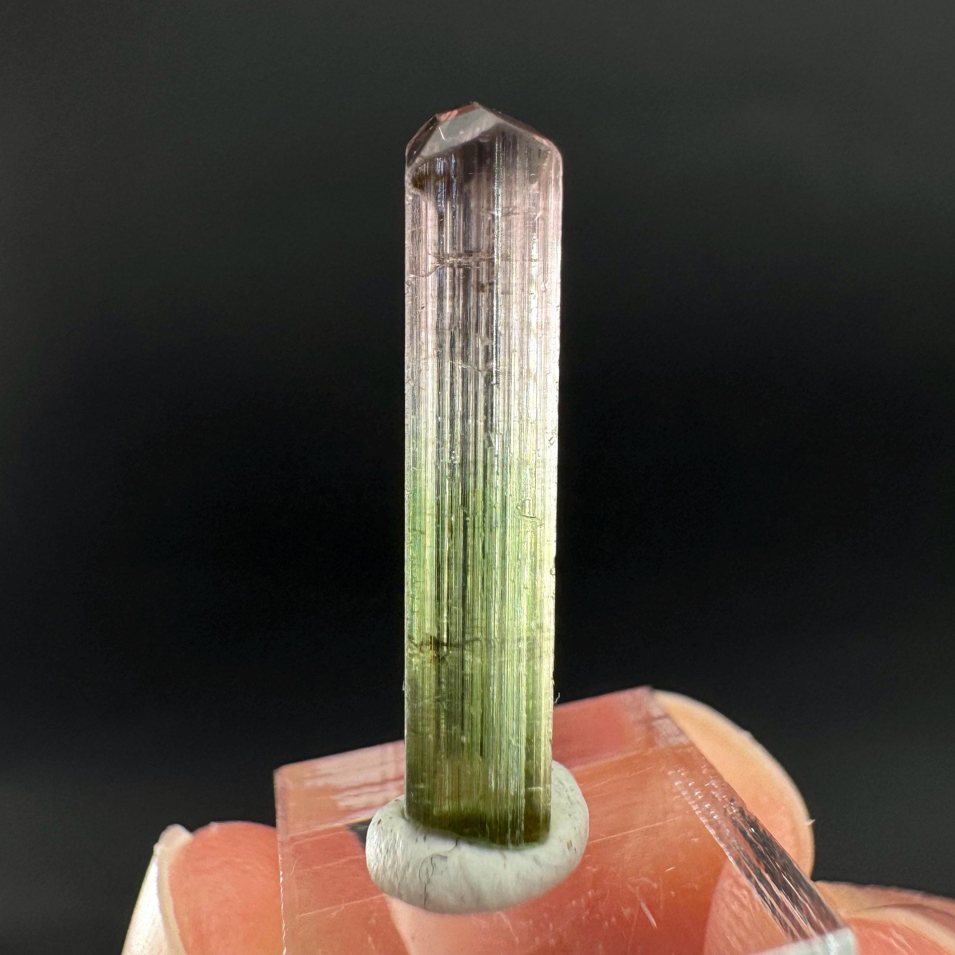 Watermelon Tourmaline | Green & Pink Bi-Color Elbaite Crystal, mineral specimen from Paprok
