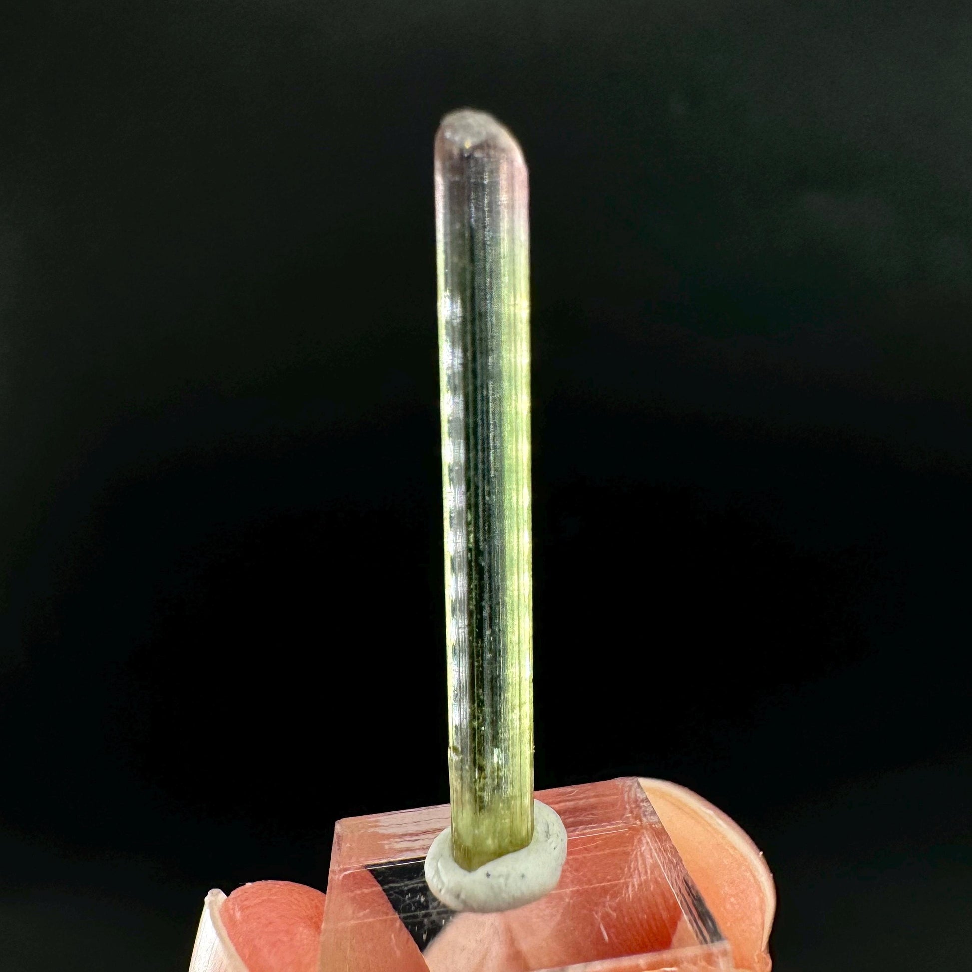 Watermelon Tourmaline | Green & Pink Bi-Color Elbaite Crystal, mineral specimen from Paprok