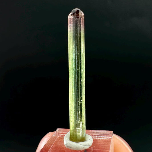 Watermelon Tourmaline | Green & Pink Bi-Color Elbaite Crystal, mineral specimen from Paprok