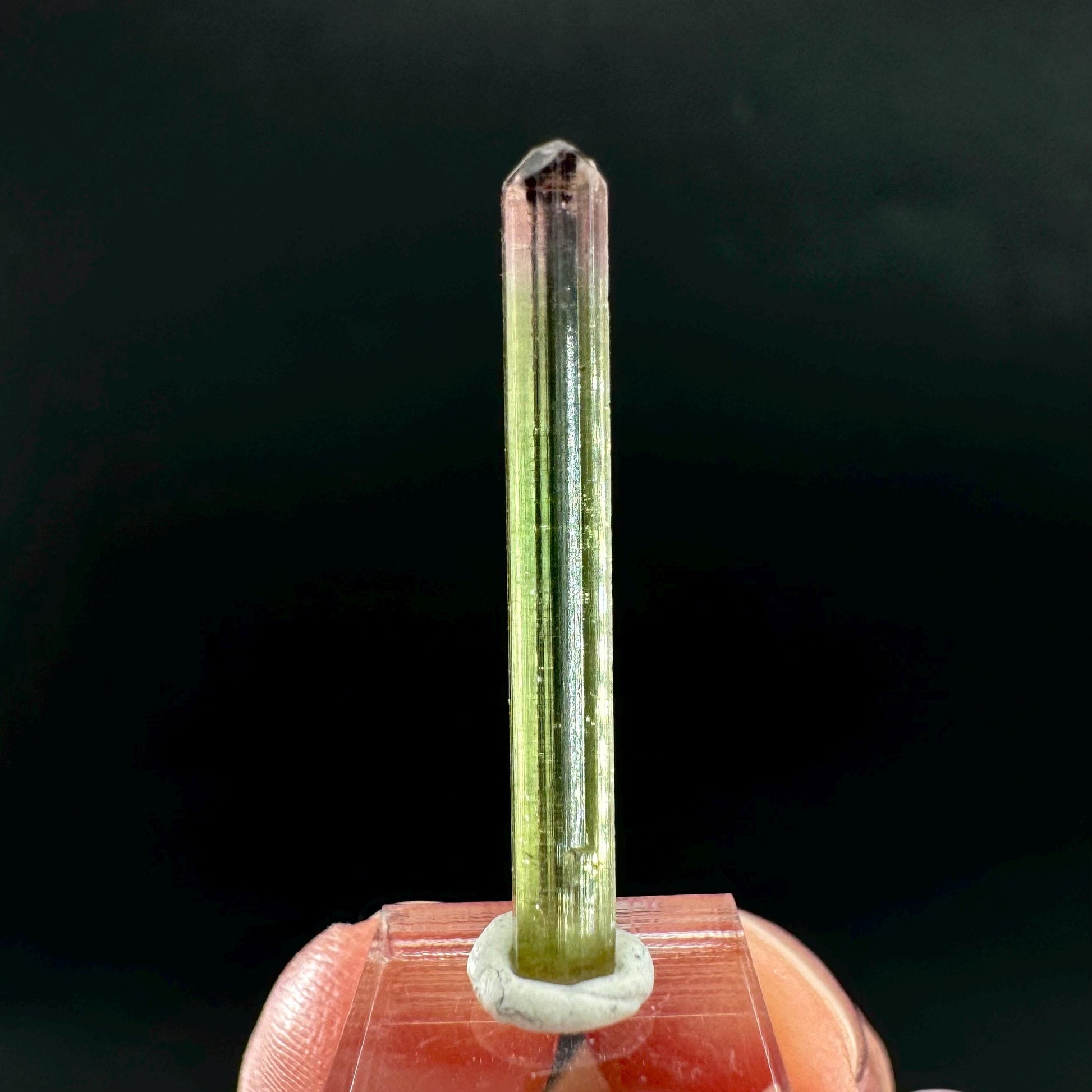 Watermelon Tourmaline | Green & Pink Bi-Color Elbaite Crystal, mineral specimen from Paprok