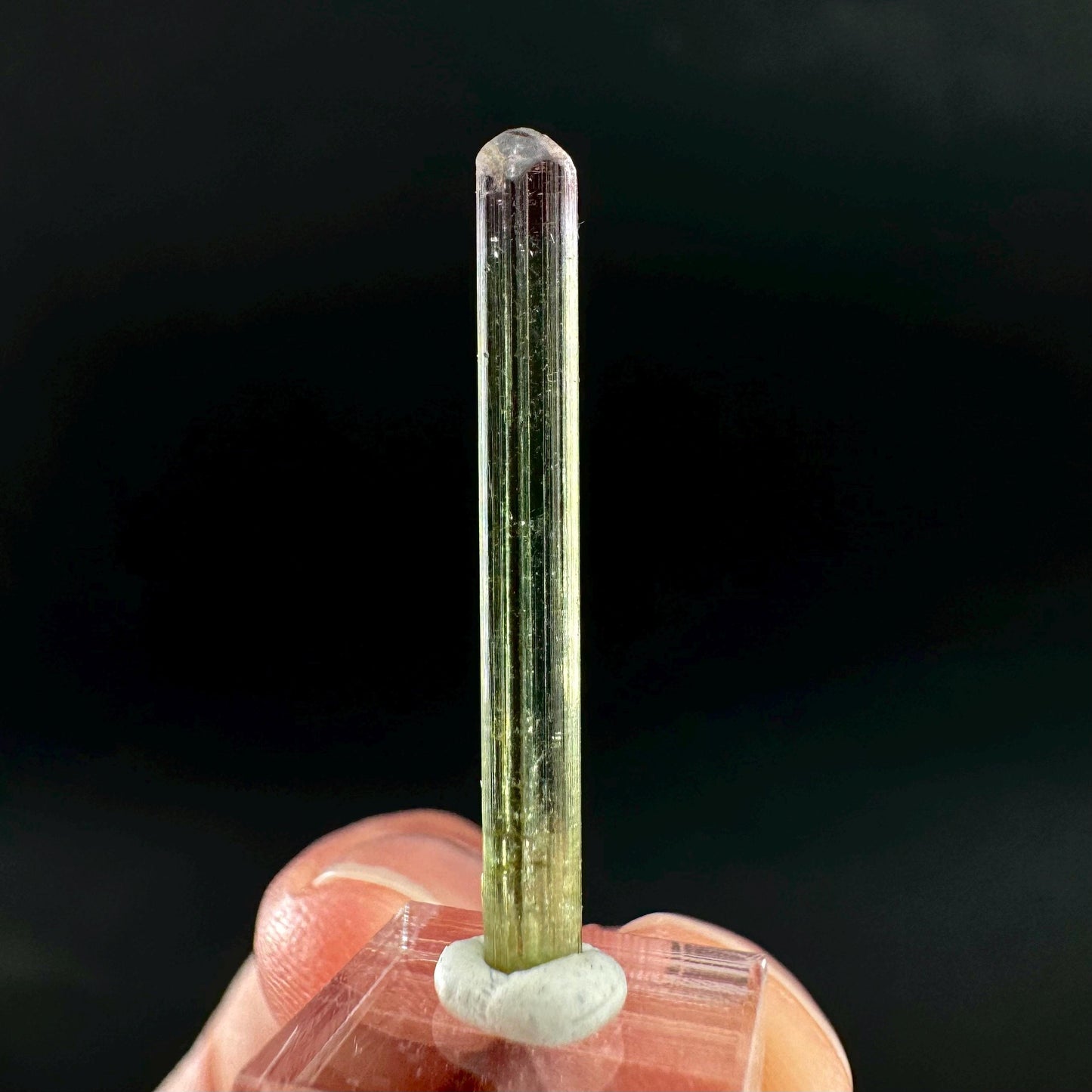 Watermelon Tourmaline | Green & Pink Bi-Color Elbaite Crystal, mineral specimen from Paprok