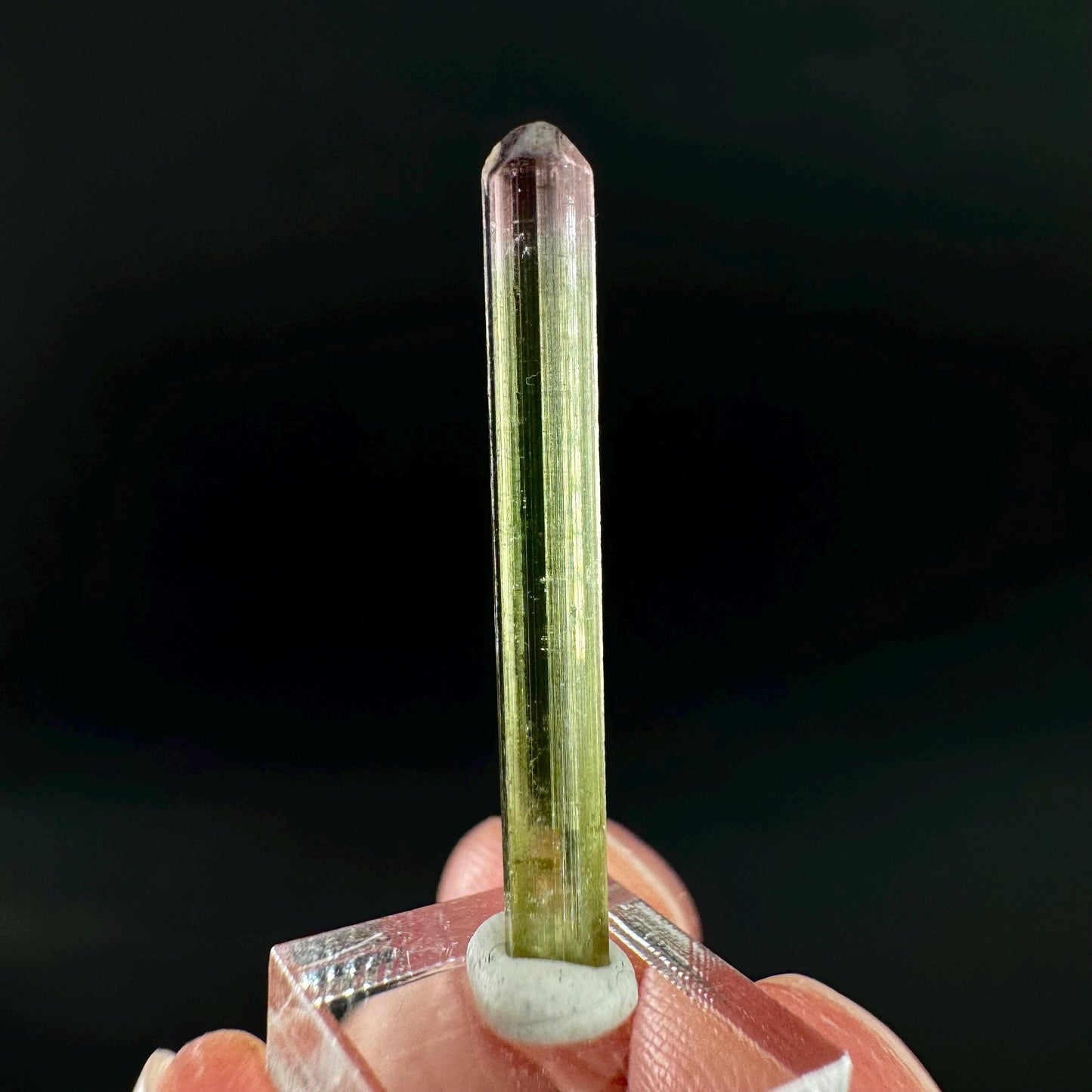Watermelon Tourmaline | Green & Pink Bi-Color Elbaite Crystal, mineral specimen from Paprok