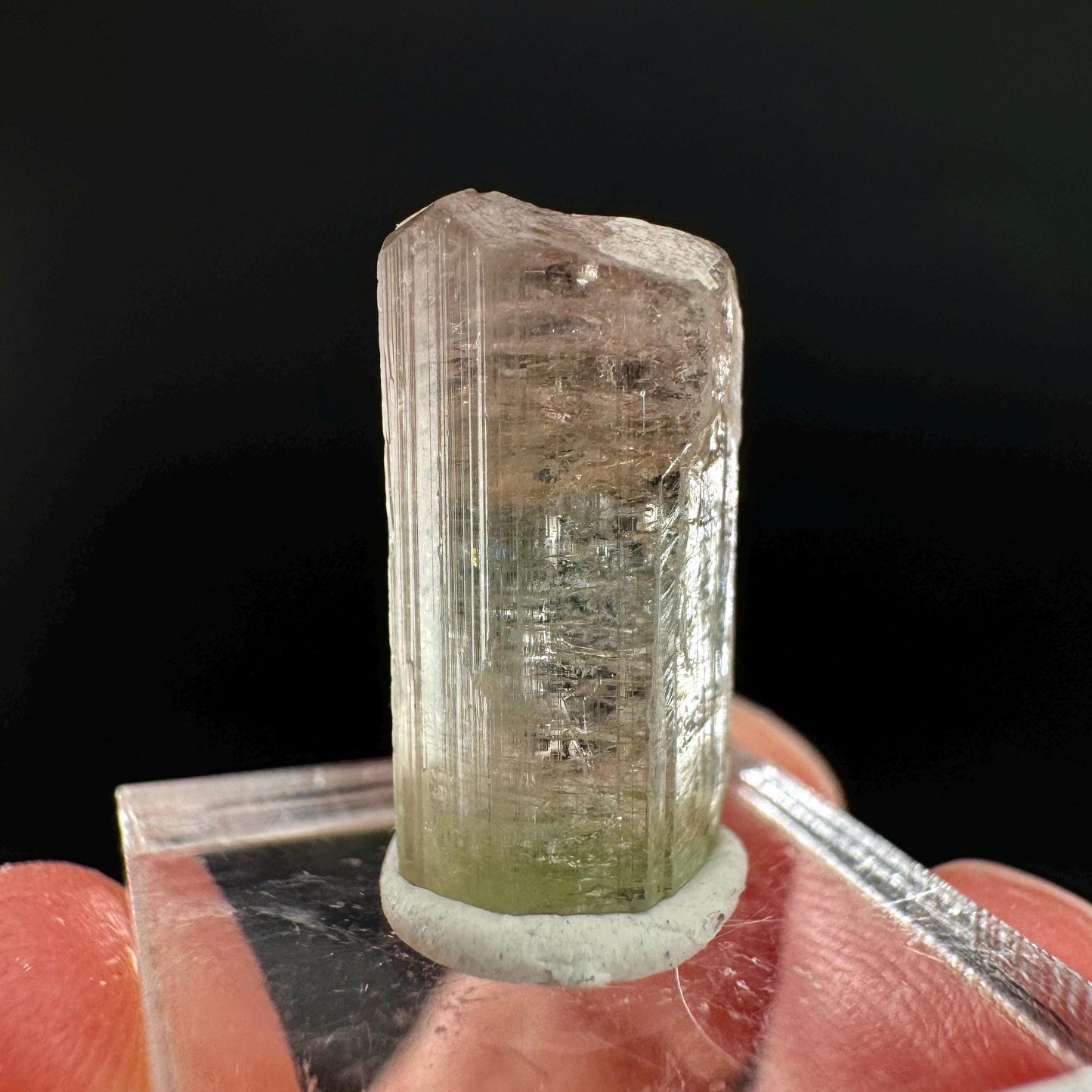 Watermelon Tourmaline | Green & Pink Bi-Color Elbaite Crystal, mineral specimen from Paprok